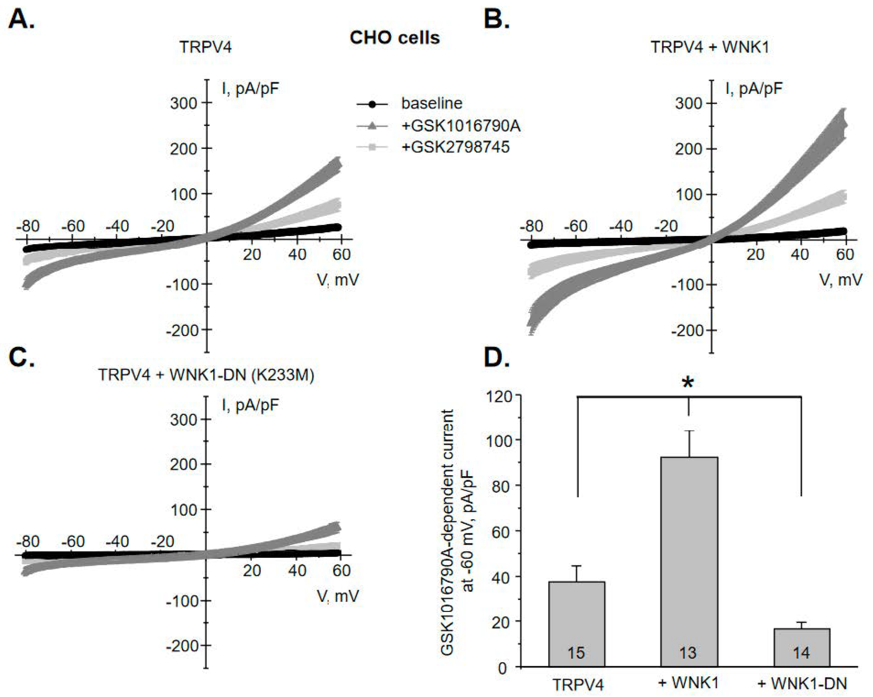Cells 10 01482 g008 Cells 10 01482 g008