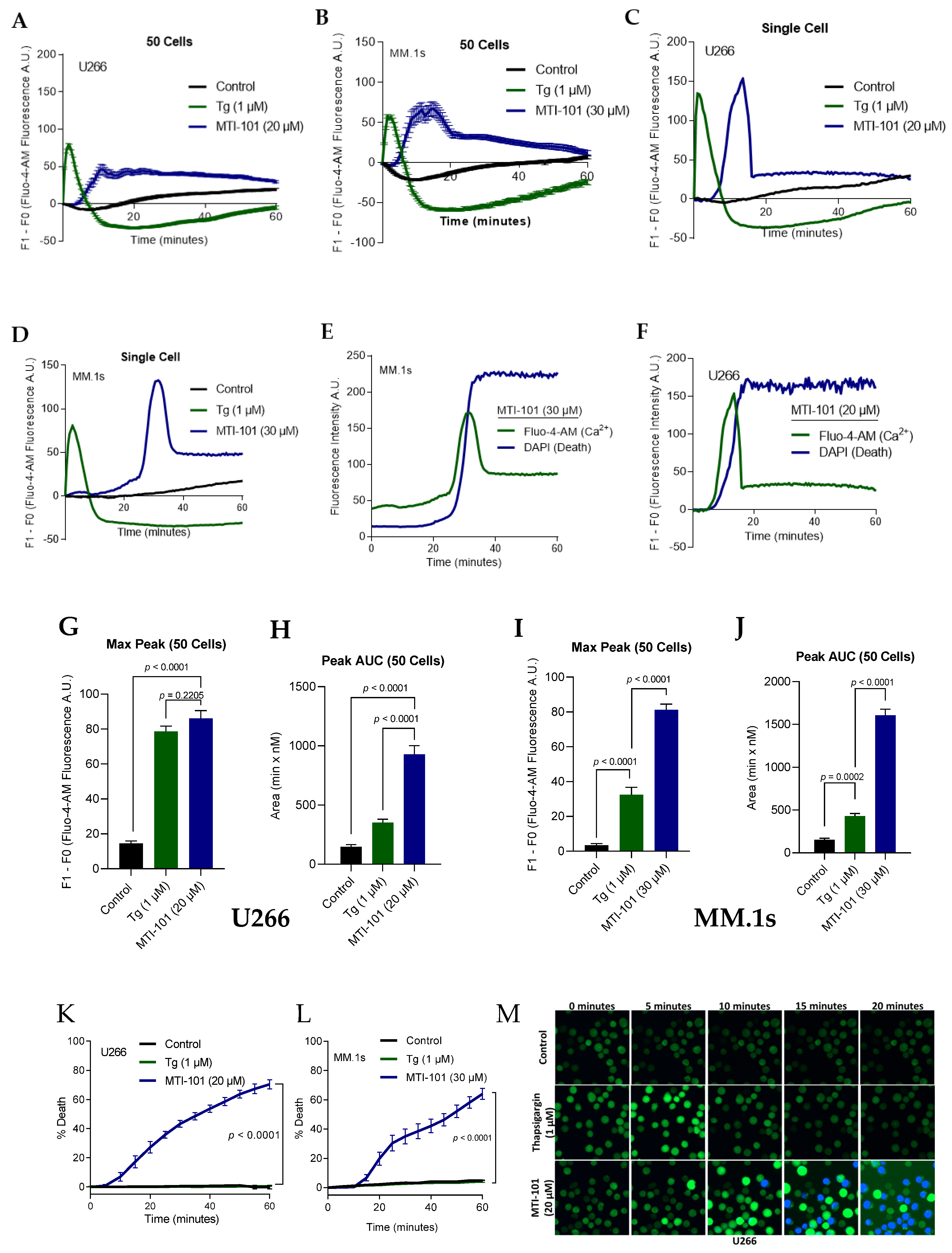 Cells 10 01490 g001 Cells 10 01490 g001