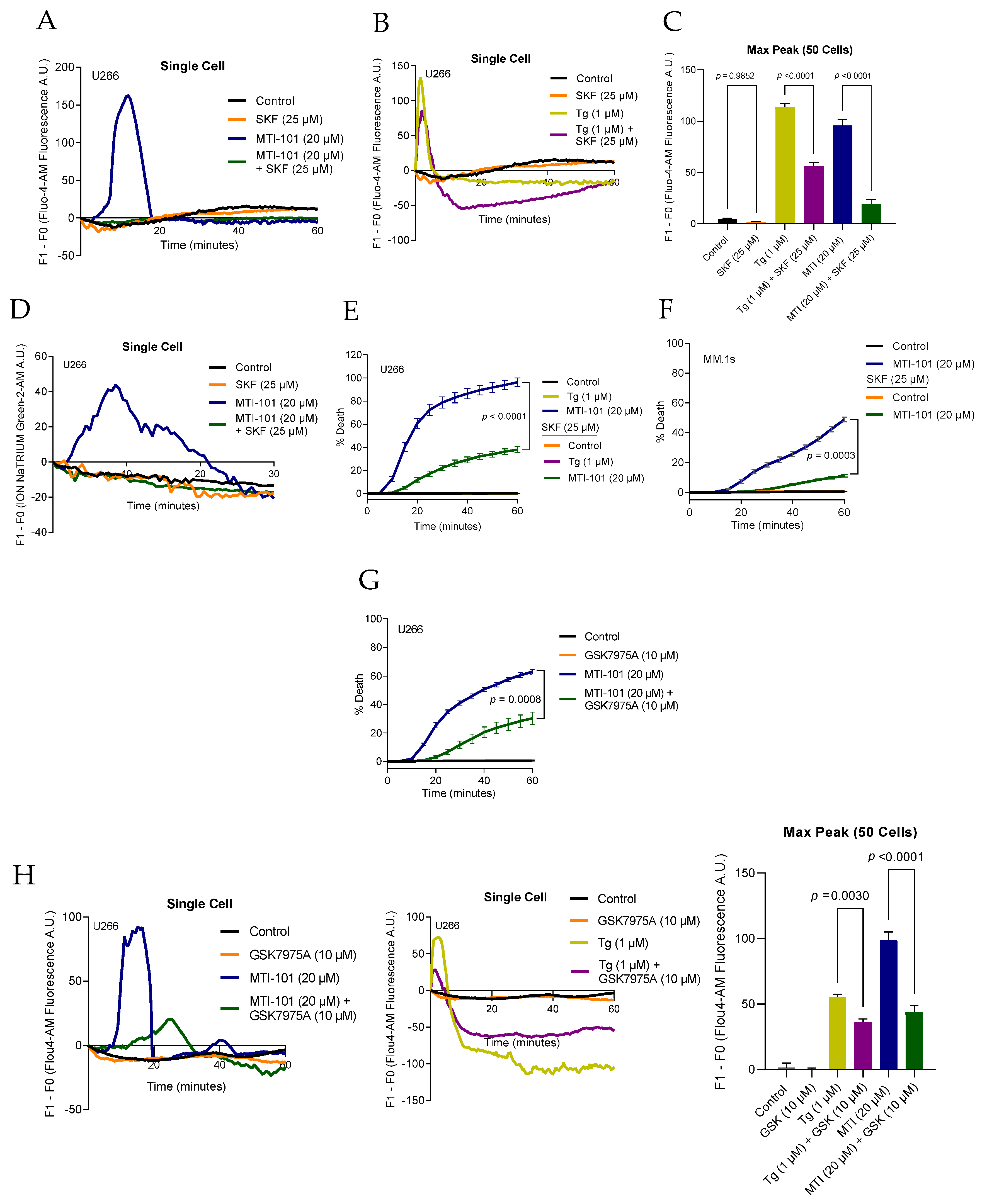 Cells 10 01490 g003 Cells 10 01490 g003
