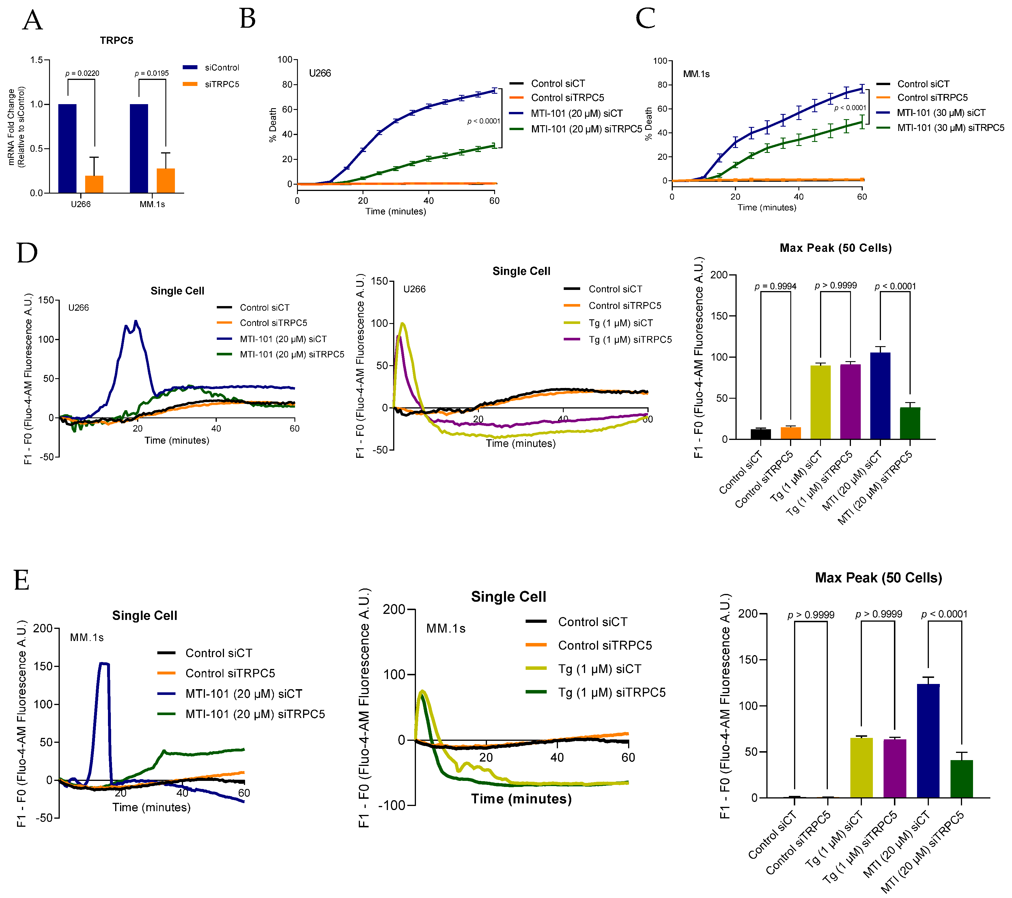 Cells 10 01490 g005 Cells 10 01490 g005