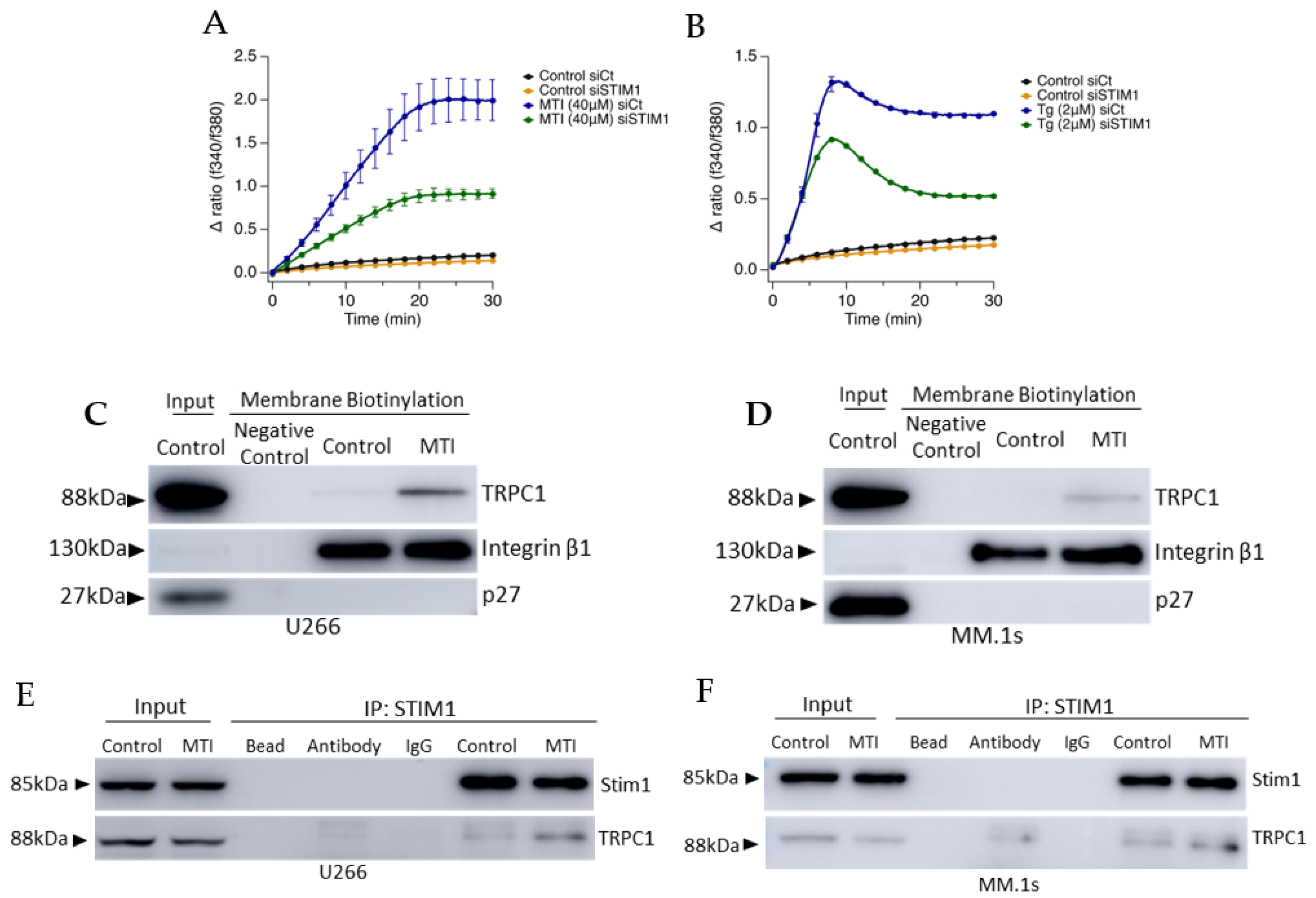 Cells 10 01490 g006 Cells 10 01490 g006