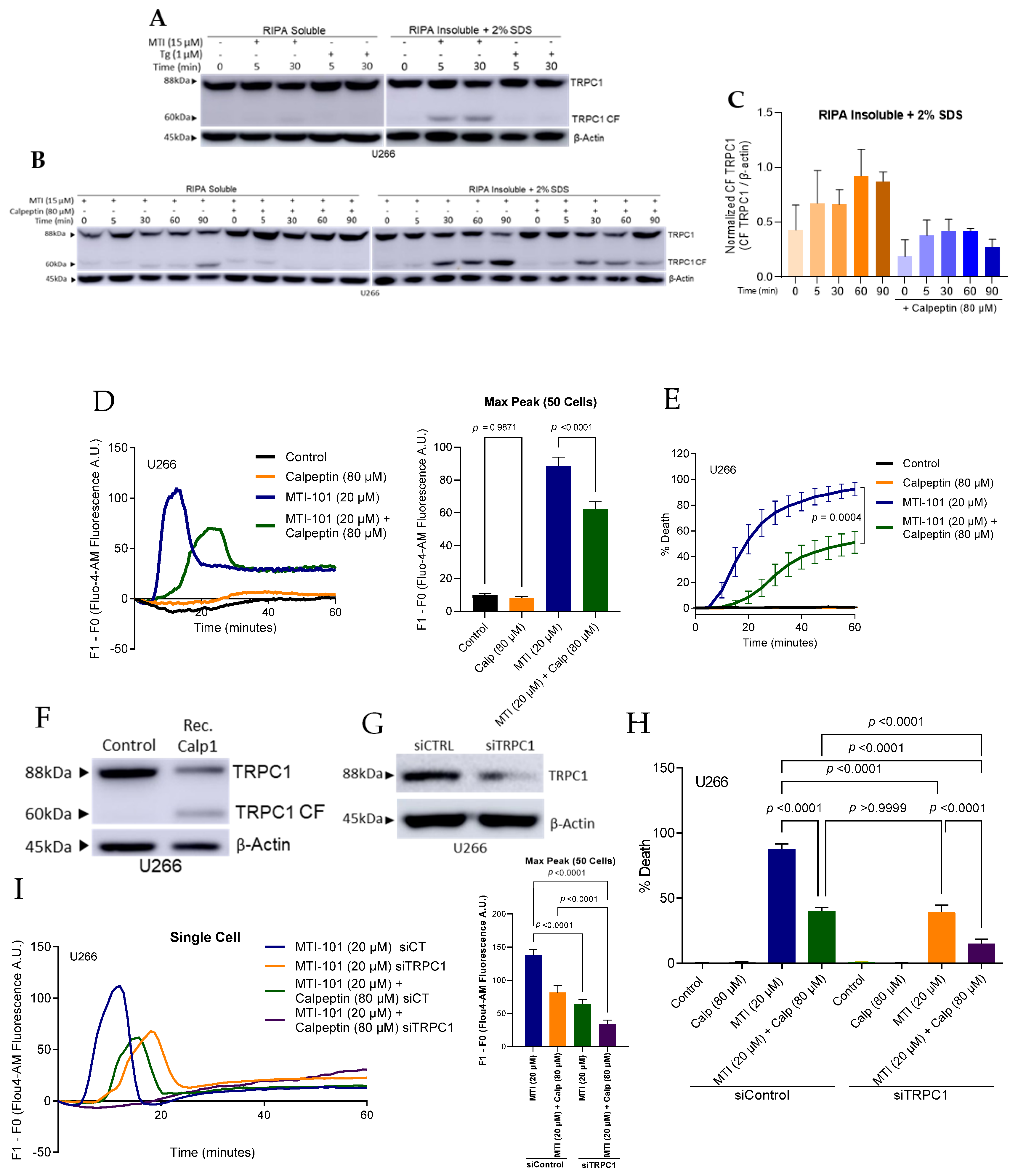 Cells 10 01490 g007 Cells 10 01490 g007