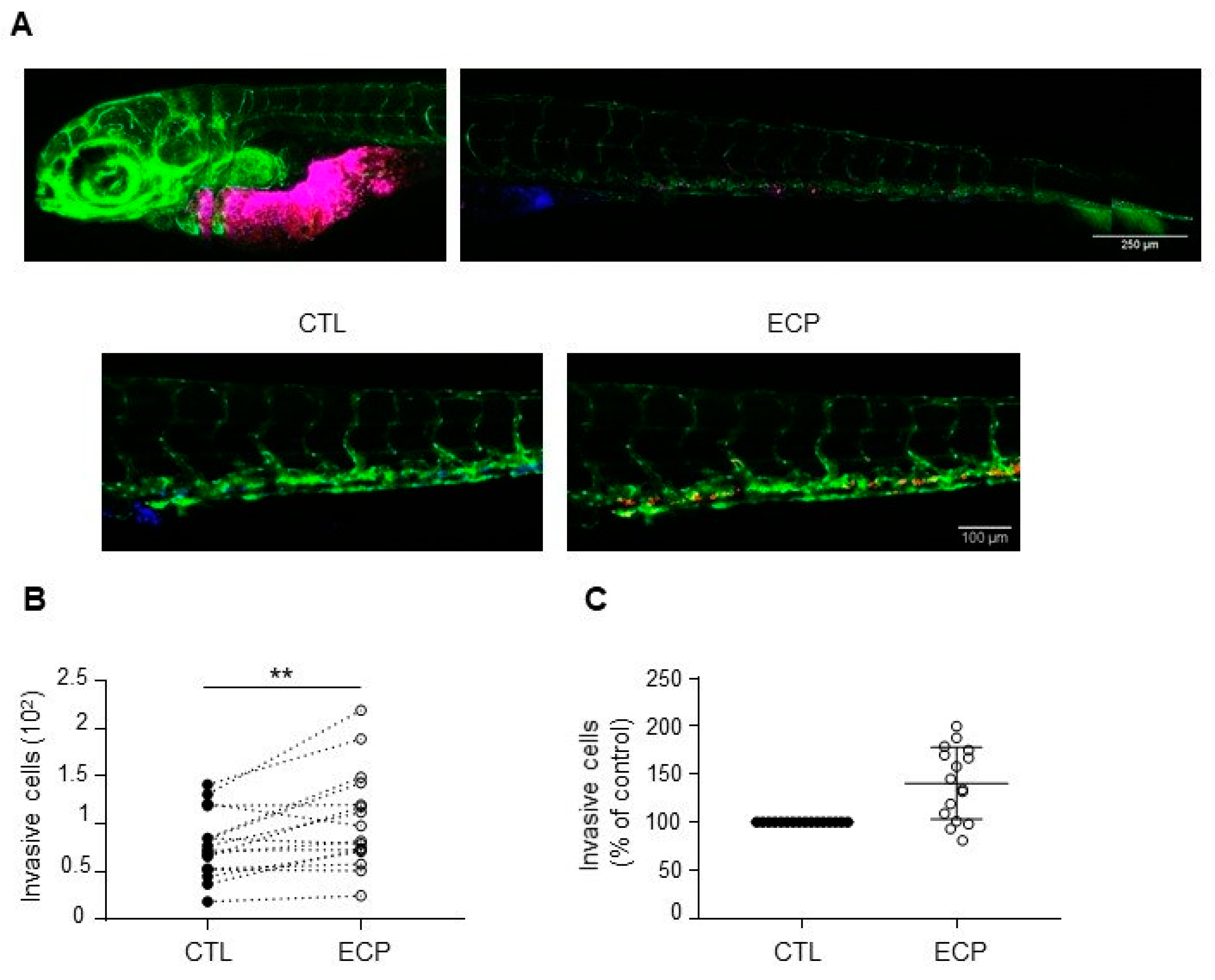 Cells 10 01504 g002