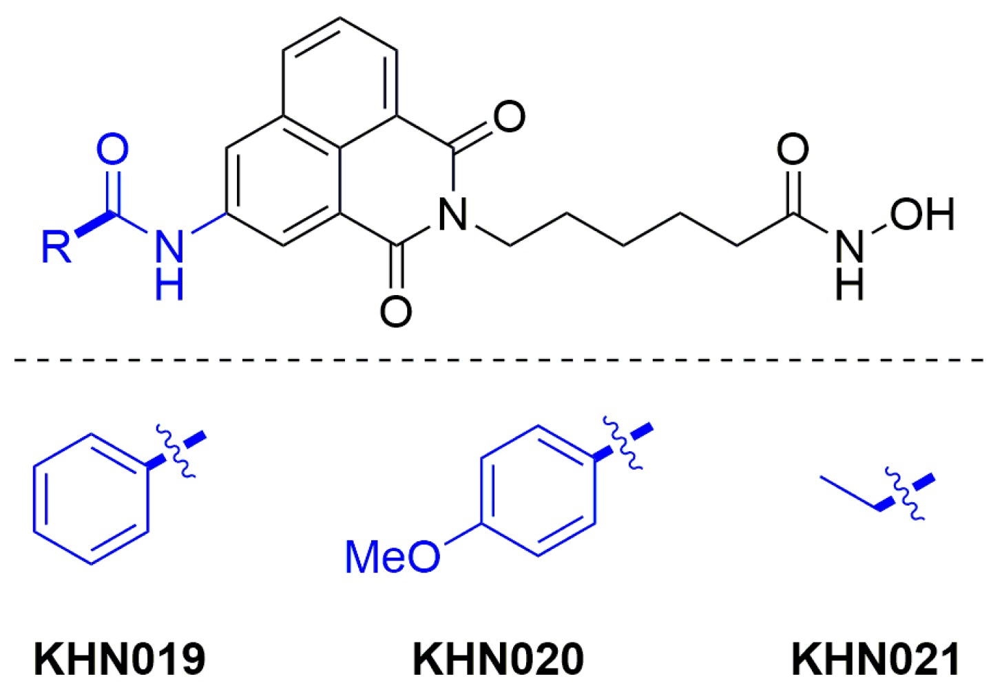 Cells 10 01505 g004 Cells 10 01505 g004