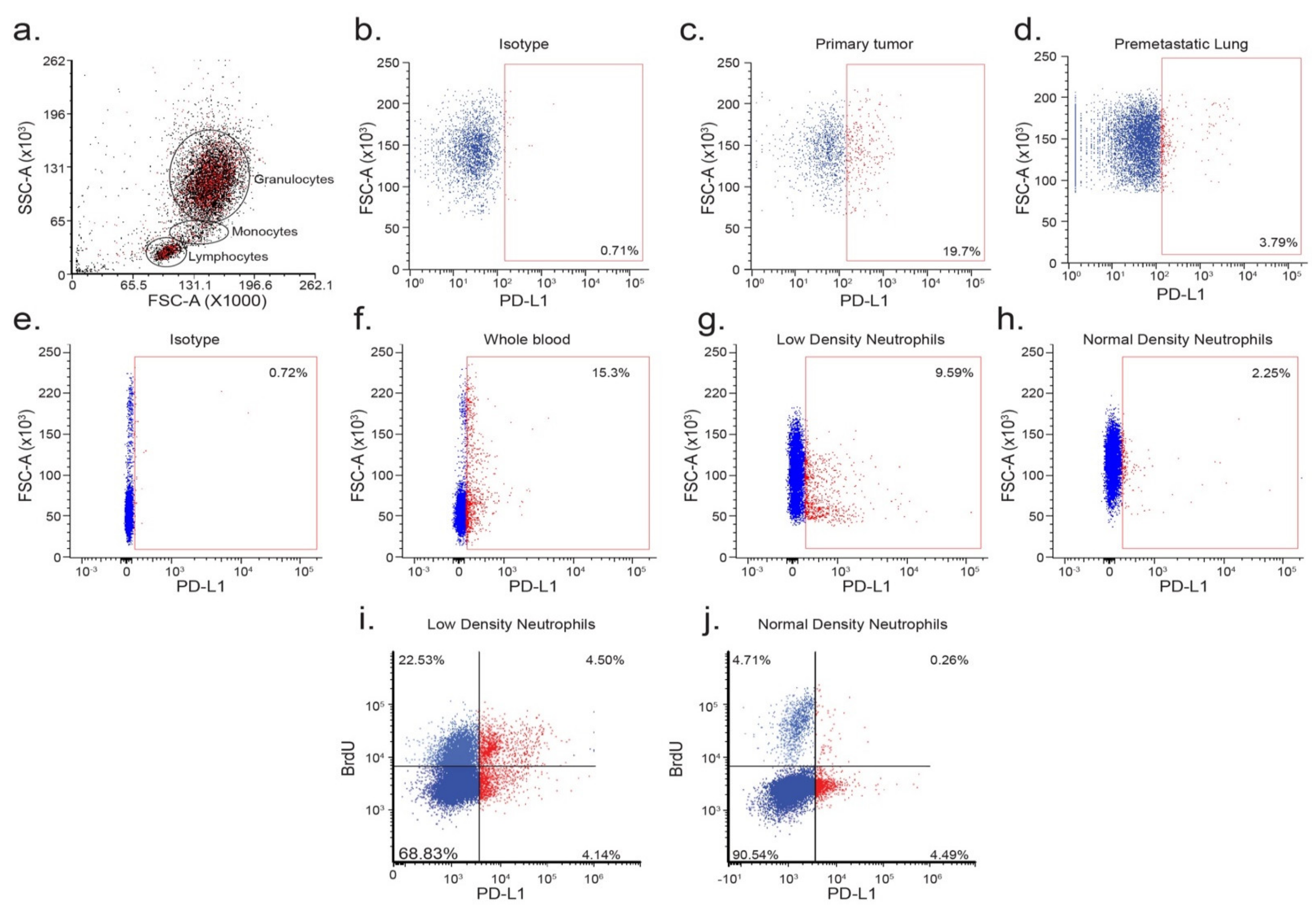 Cells 10 01510 g001 Cells 10 01510 g001