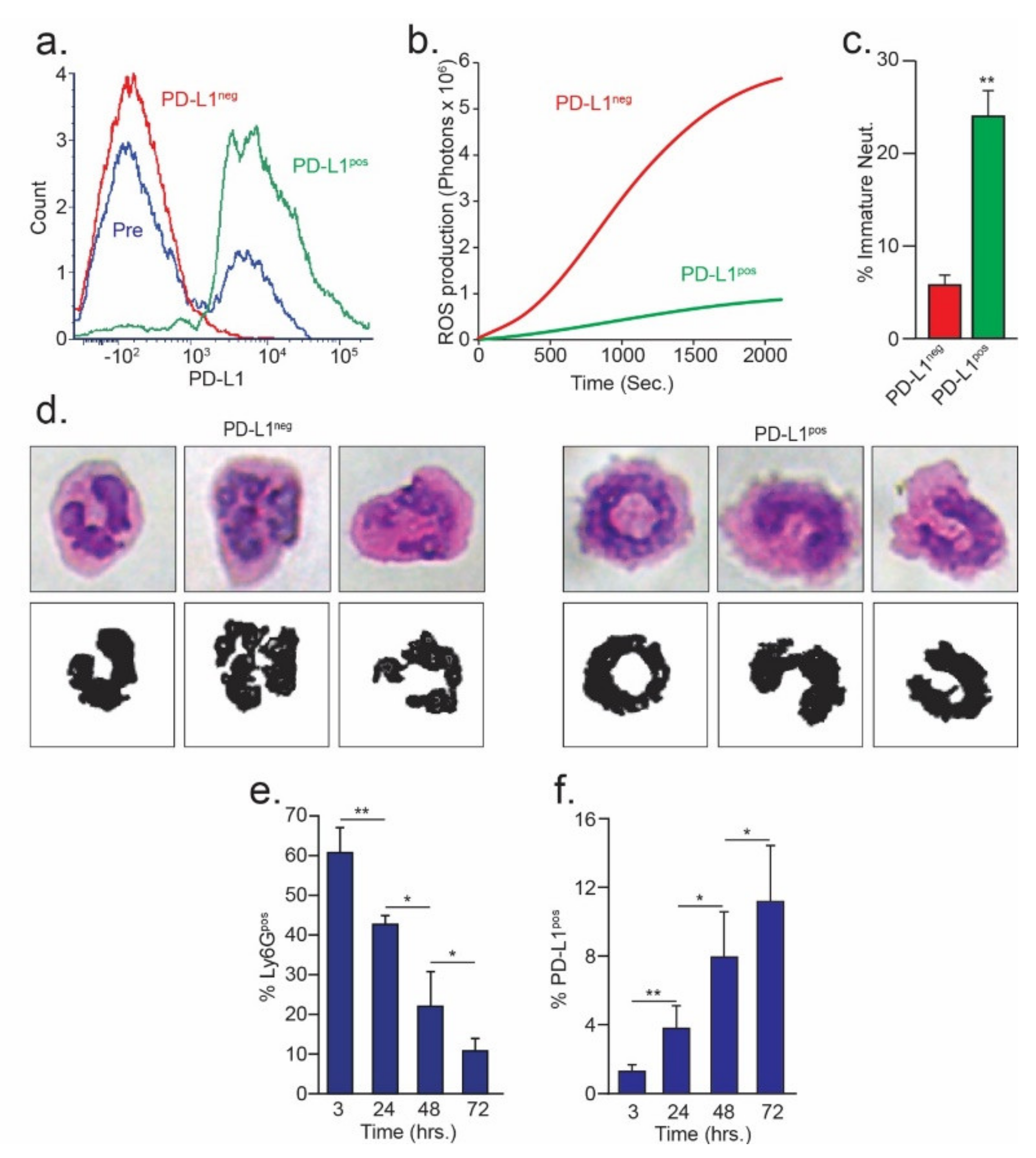 Cells 10 01510 g002 Cells 10 01510 g002