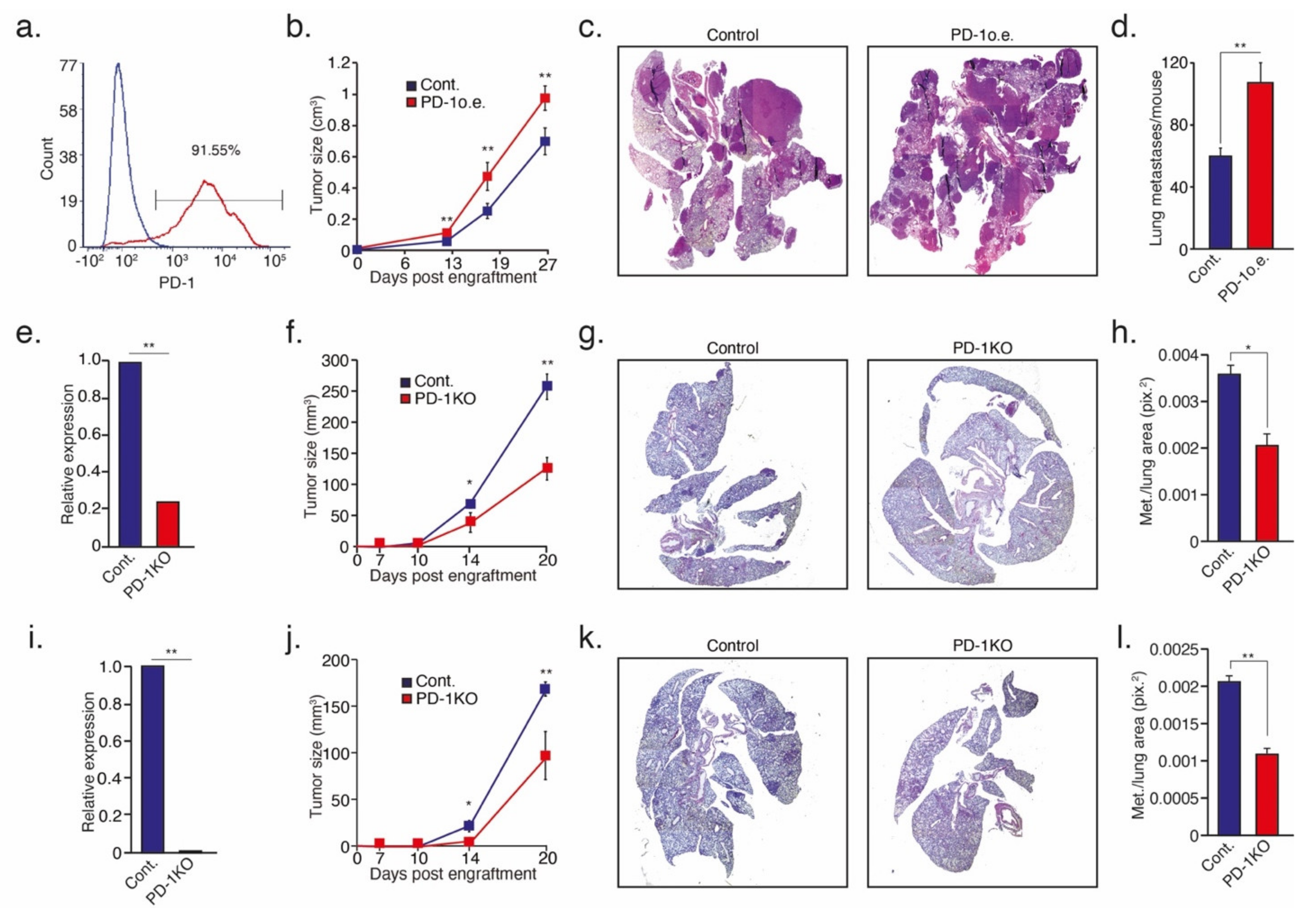Cells 10 01510 g004 Cells 10 01510 g004
