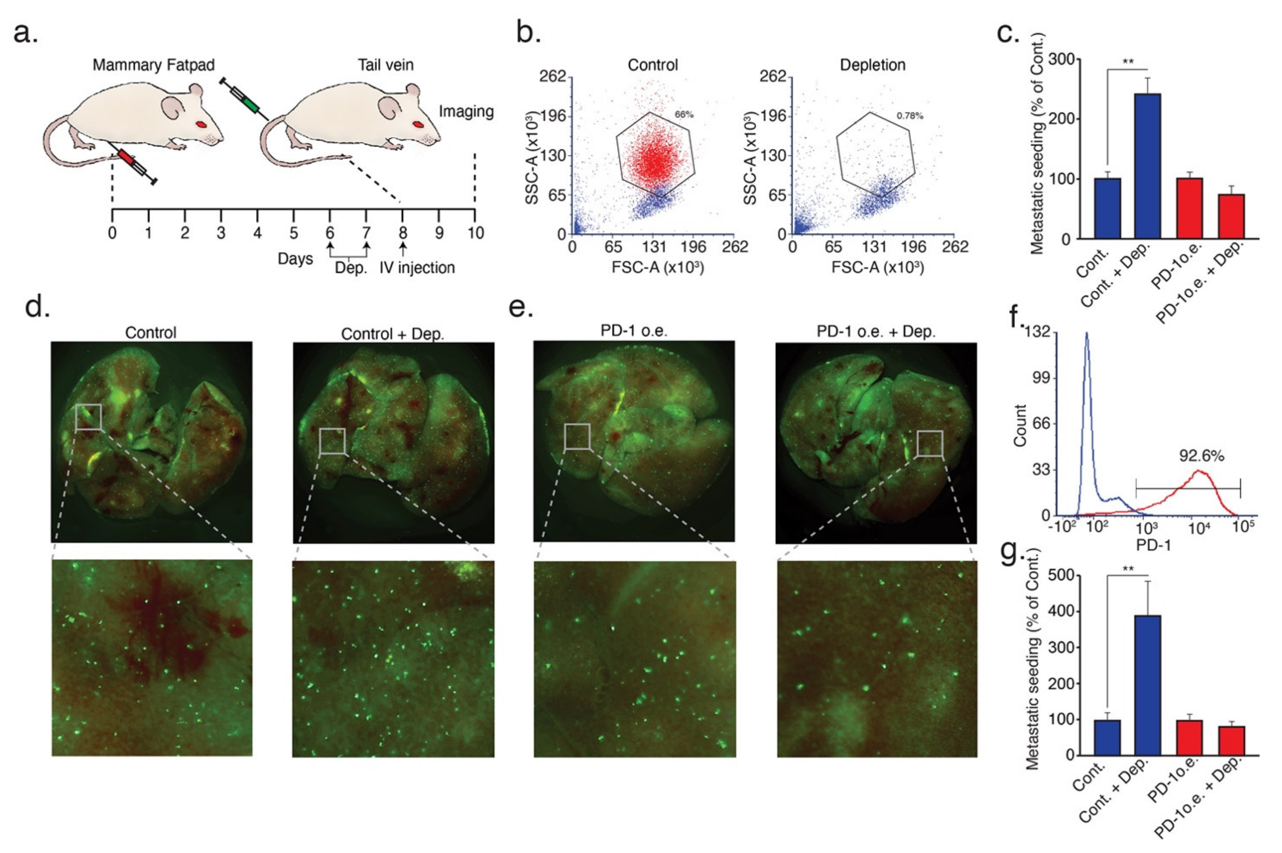 Cells 10 01510 g005 Cells 10 01510 g005