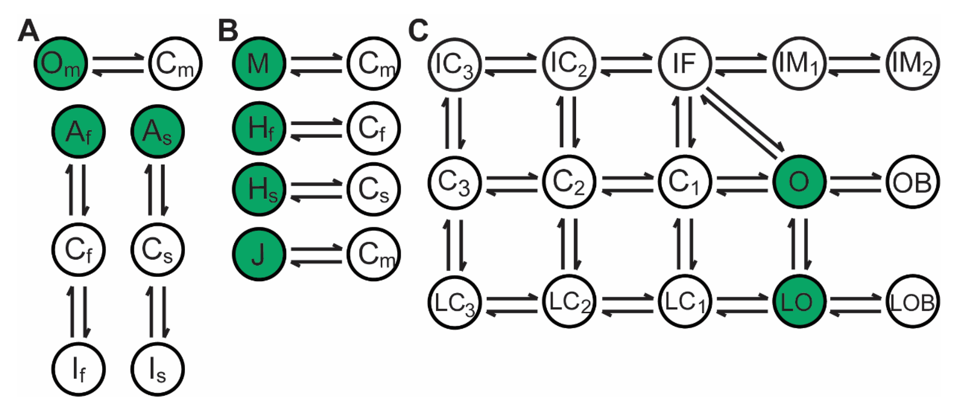 Cells 10 01516 g001 Cells 10 01516 g001