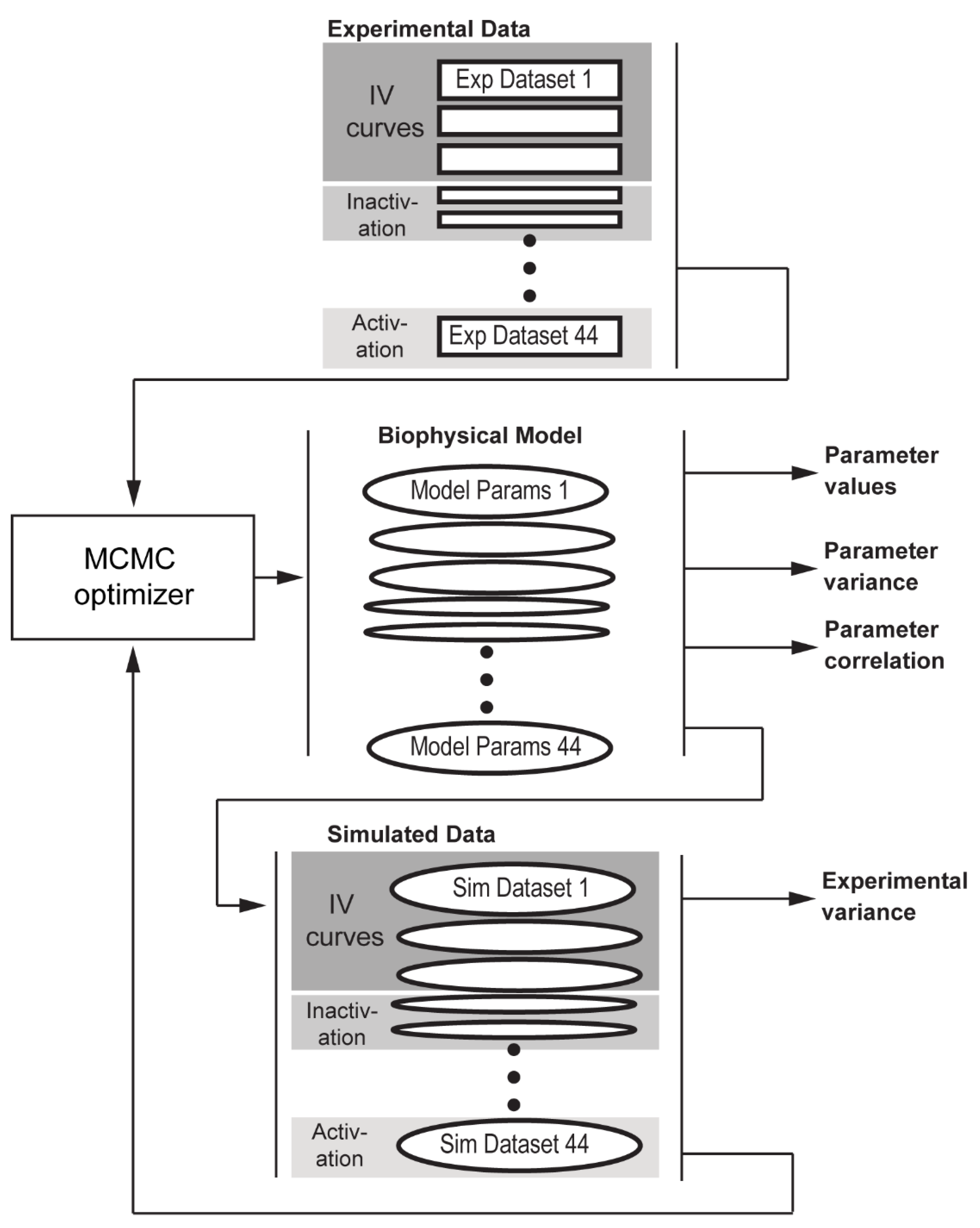 Cells 10 01516 g002 Cells 10 01516 g002