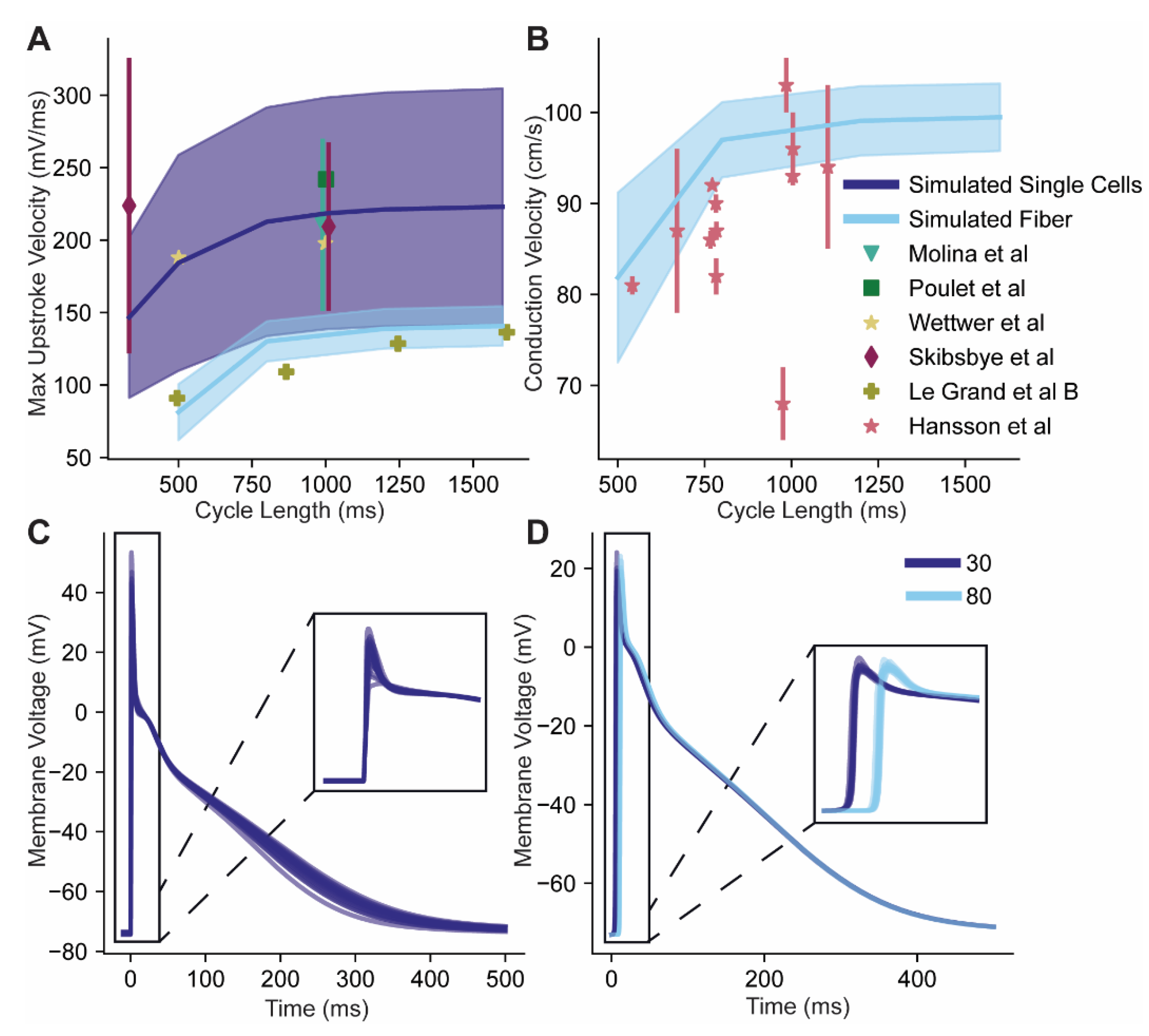 Cells 10 01516 g007 Cells 10 01516 g007