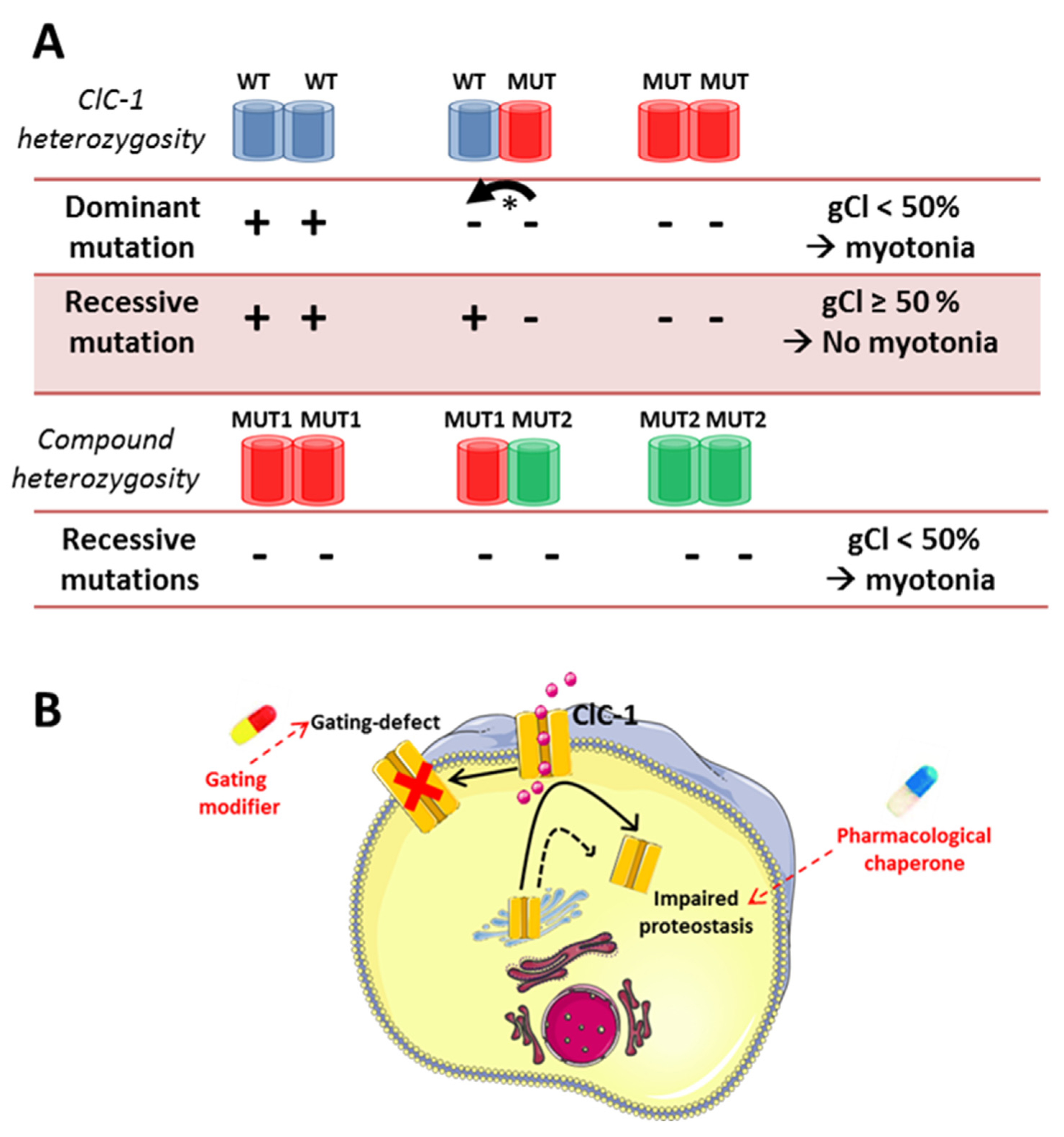 Cells 10 01521 g004 Cells 10 01521 g004