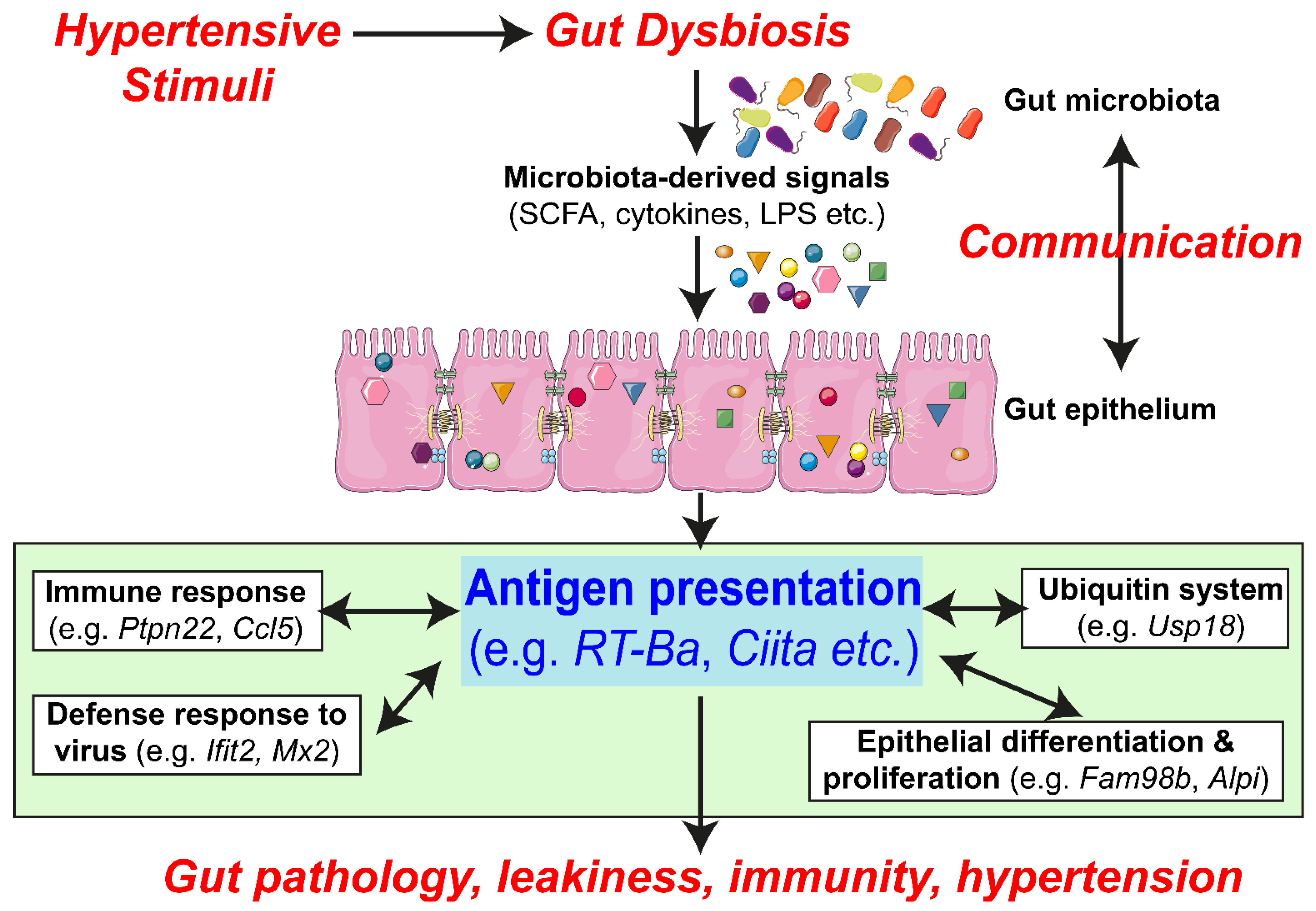 Cells 10 01523 g005 Cells 10 01523 g005