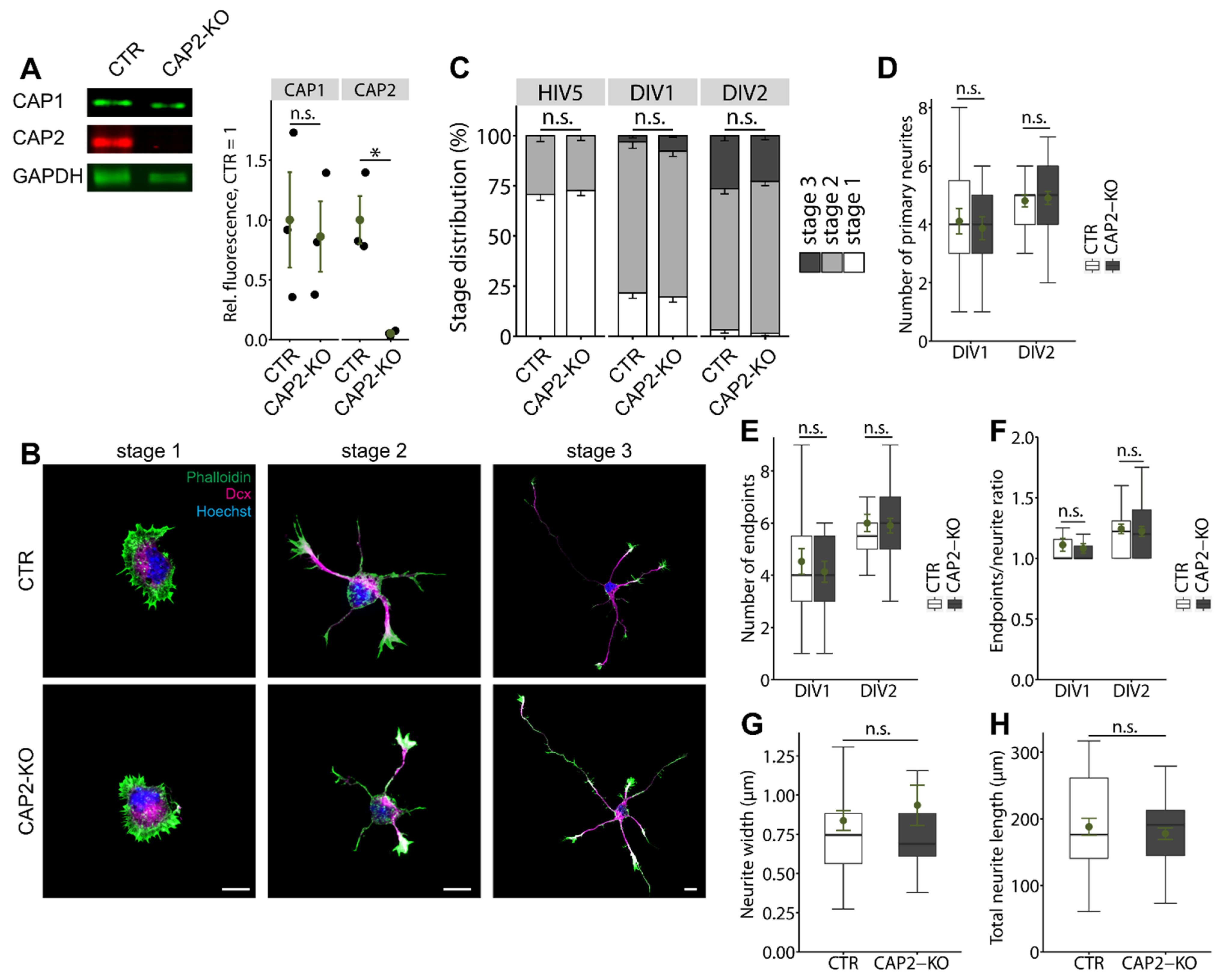 Cells 10 01525 g002 Cells 10 01525 g002