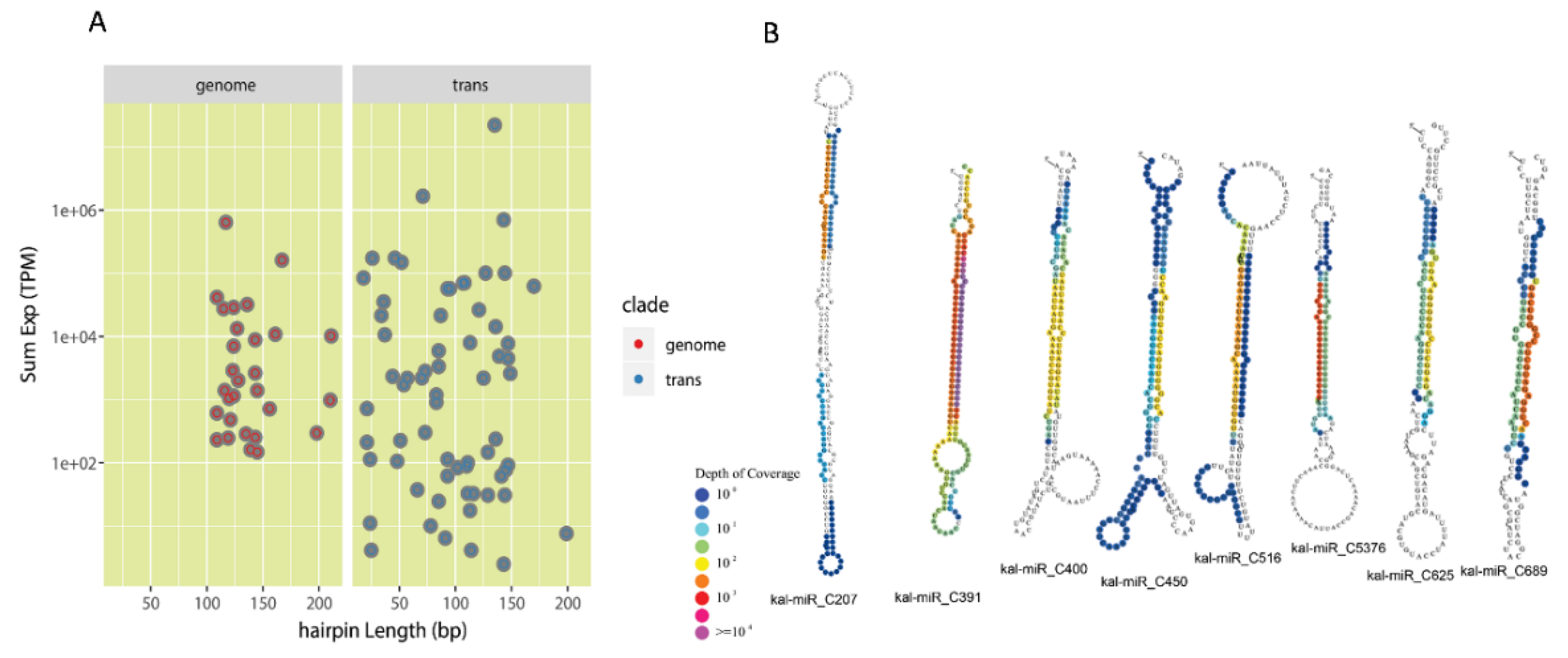 Cells 10 01526 g002 Cells 10 01526 g002