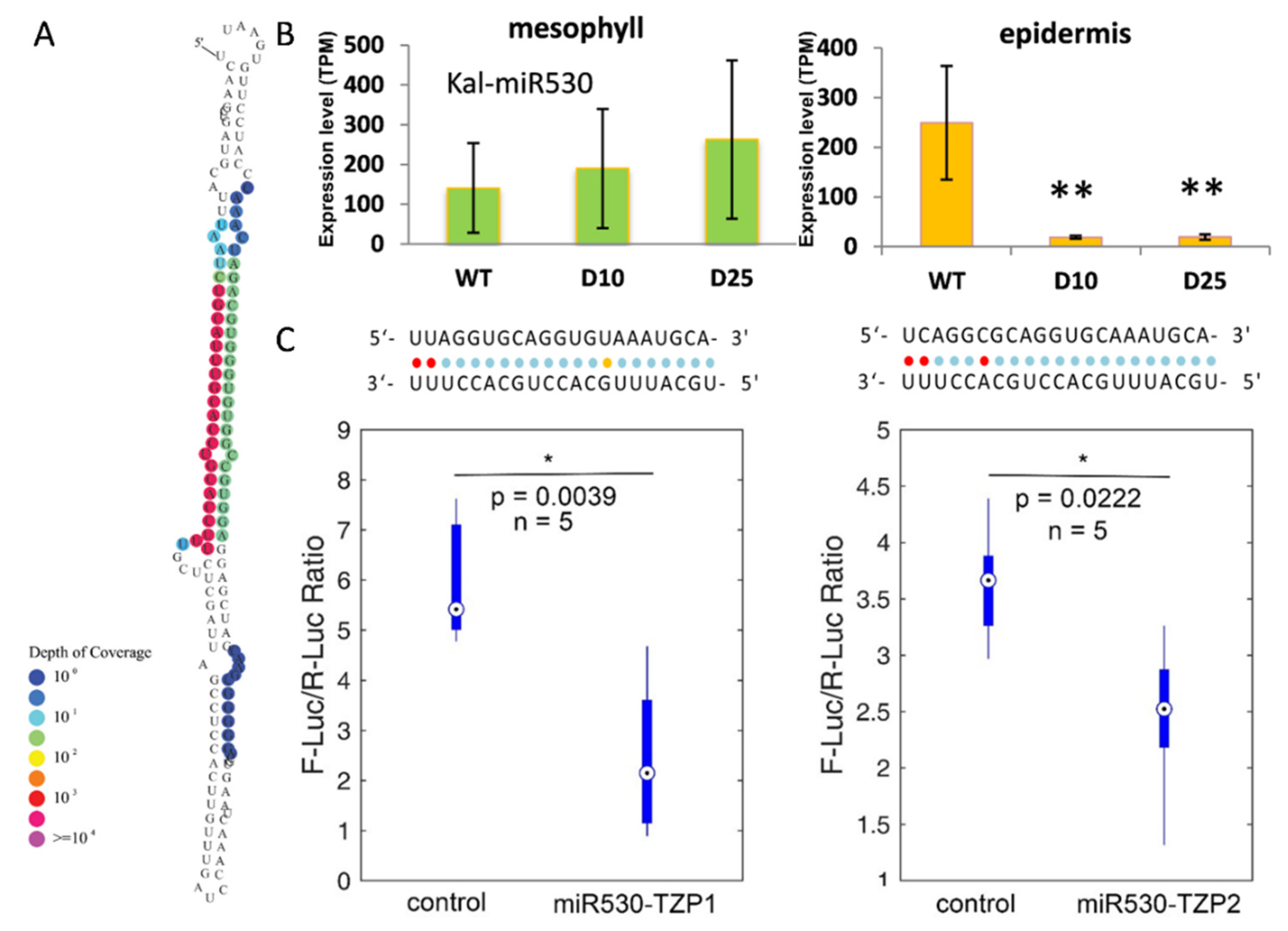 Cells 10 01526 g004 Cells 10 01526 g004