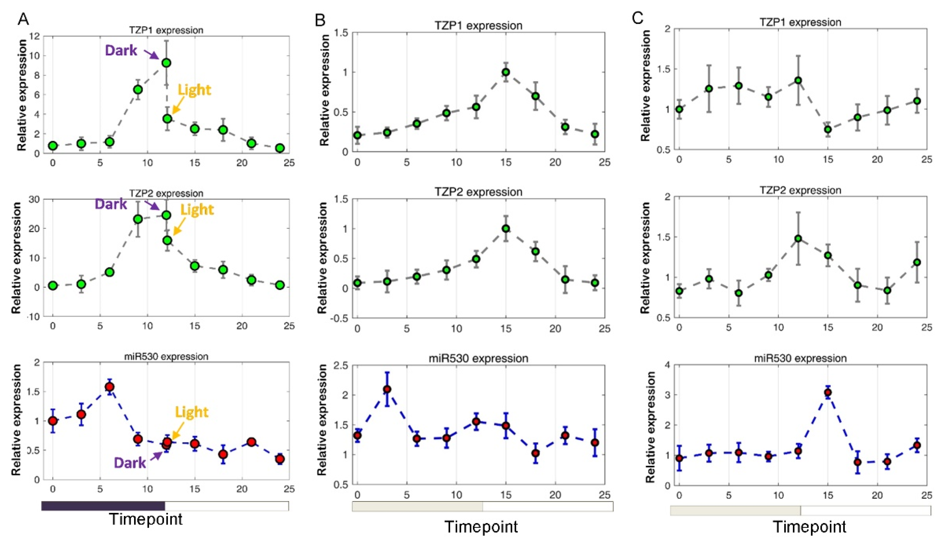 Cells 10 01526 g005 Cells 10 01526 g005