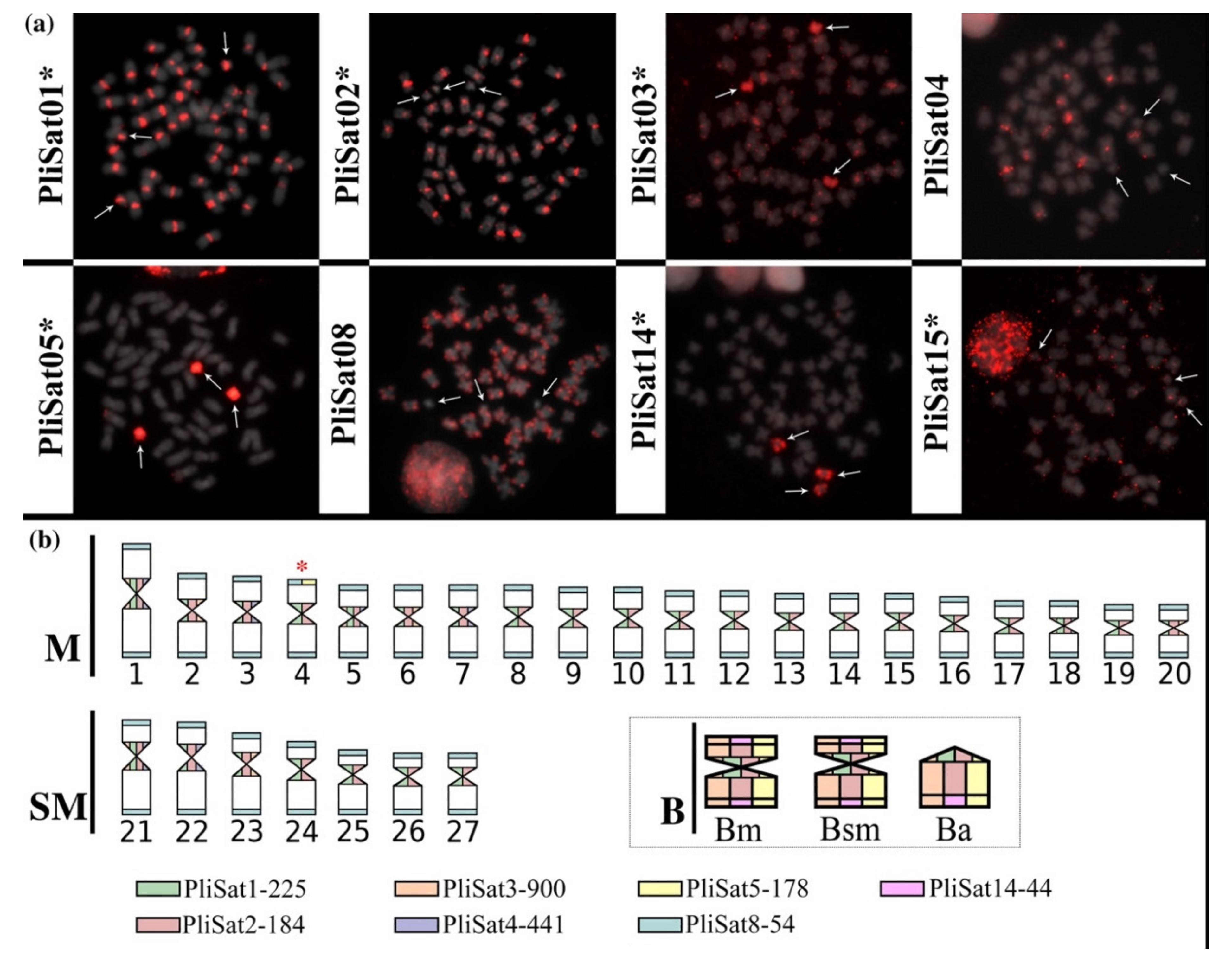 Cells 10 01527 g002 Cells 10 01527 g002