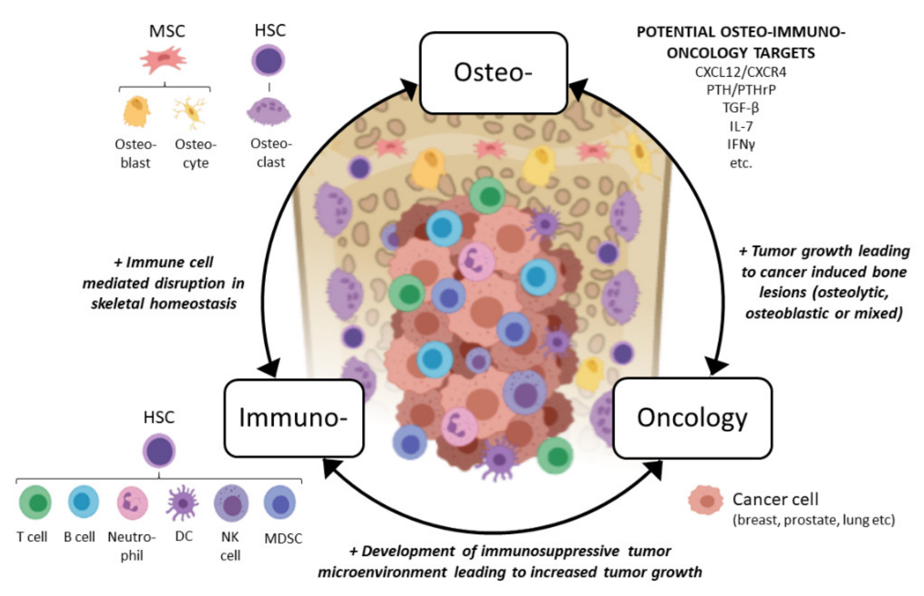 Cells 10 01529 g001