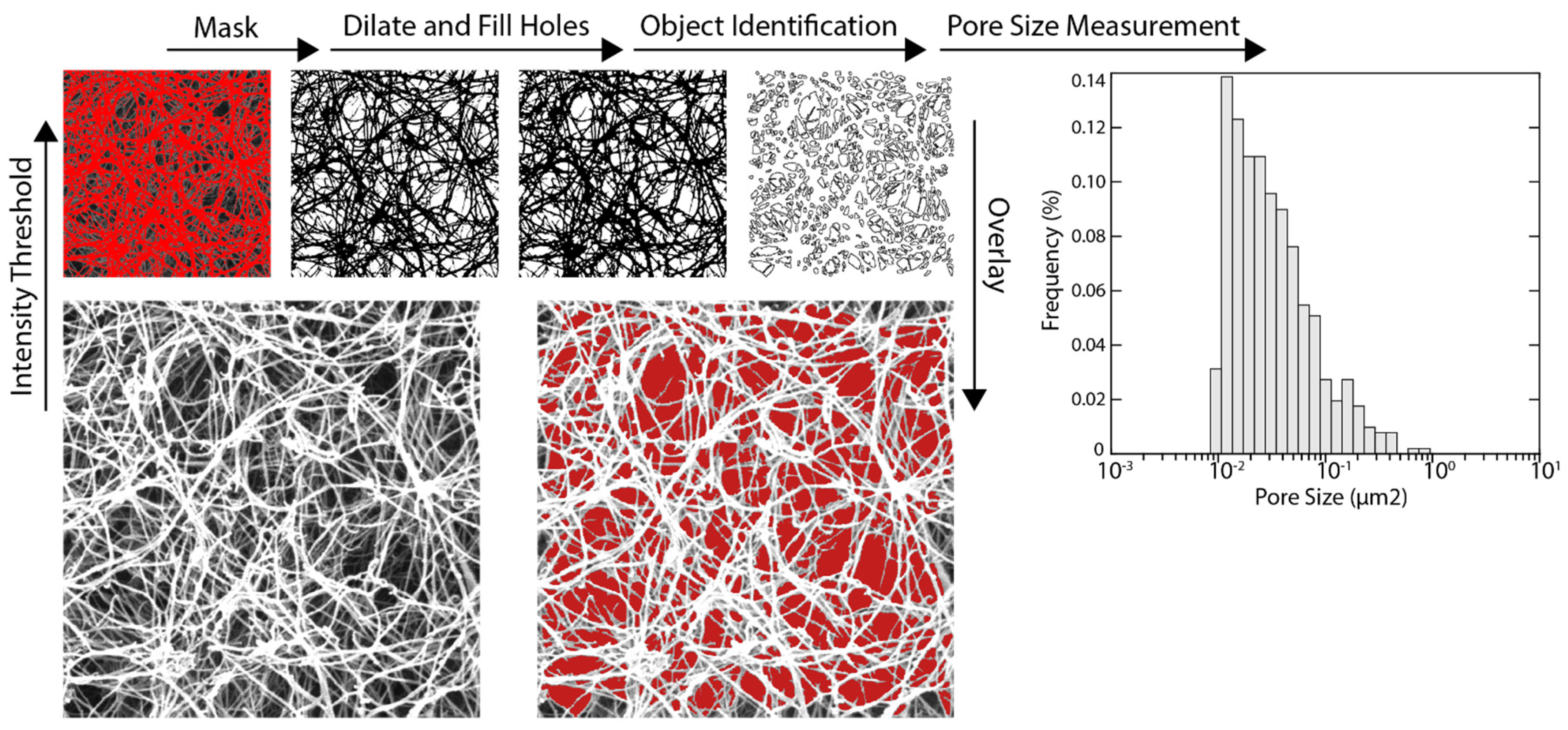 Cells 10 01538 sch002