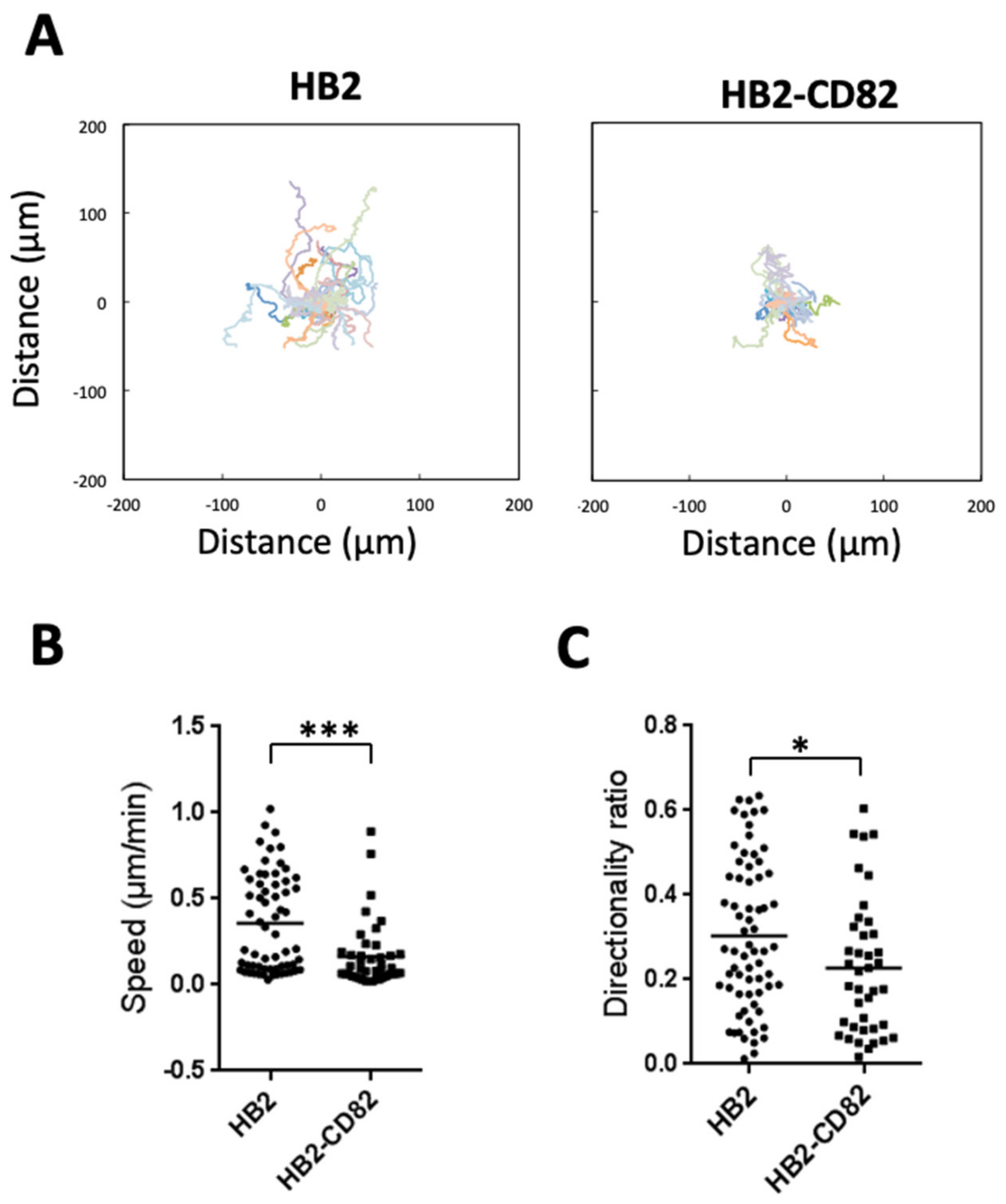 Cells 10 01545 g001 Cells 10 01545 g001