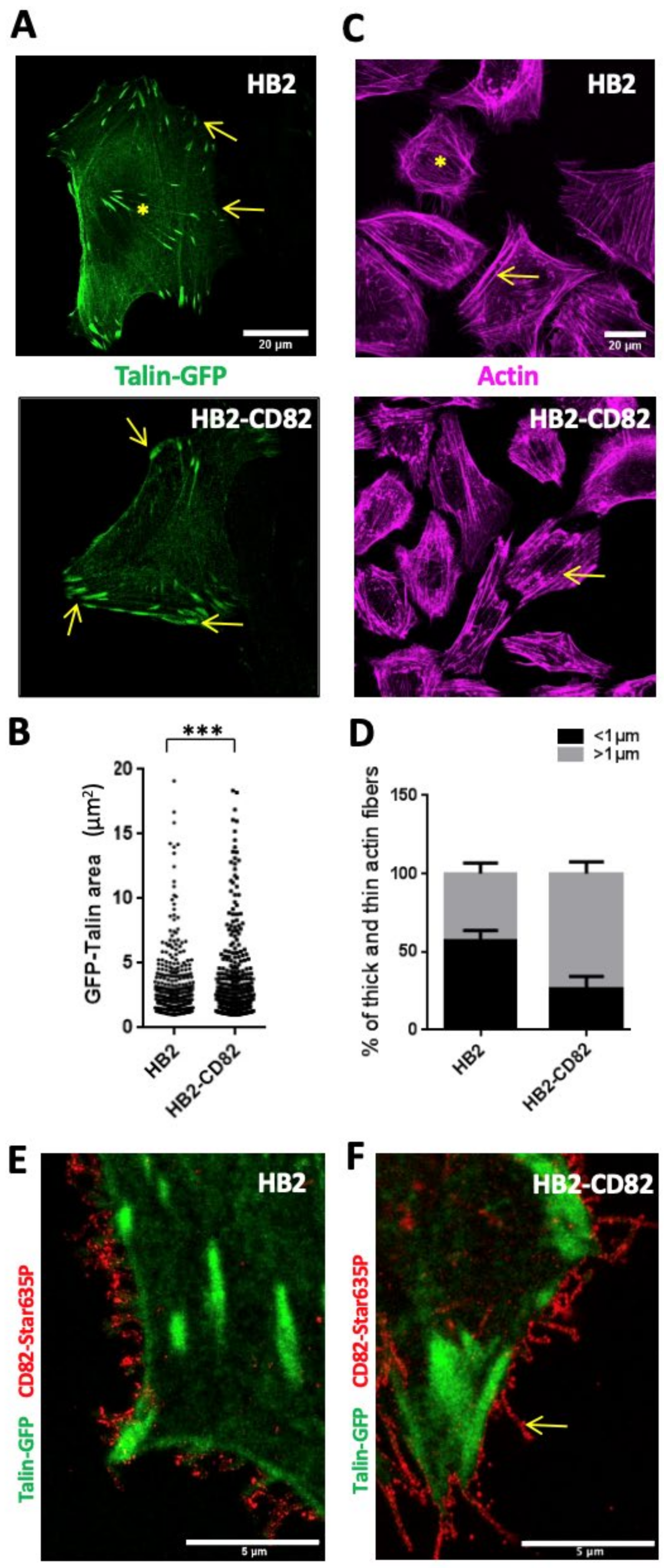 Cells 10 01545 g002 Cells 10 01545 g002