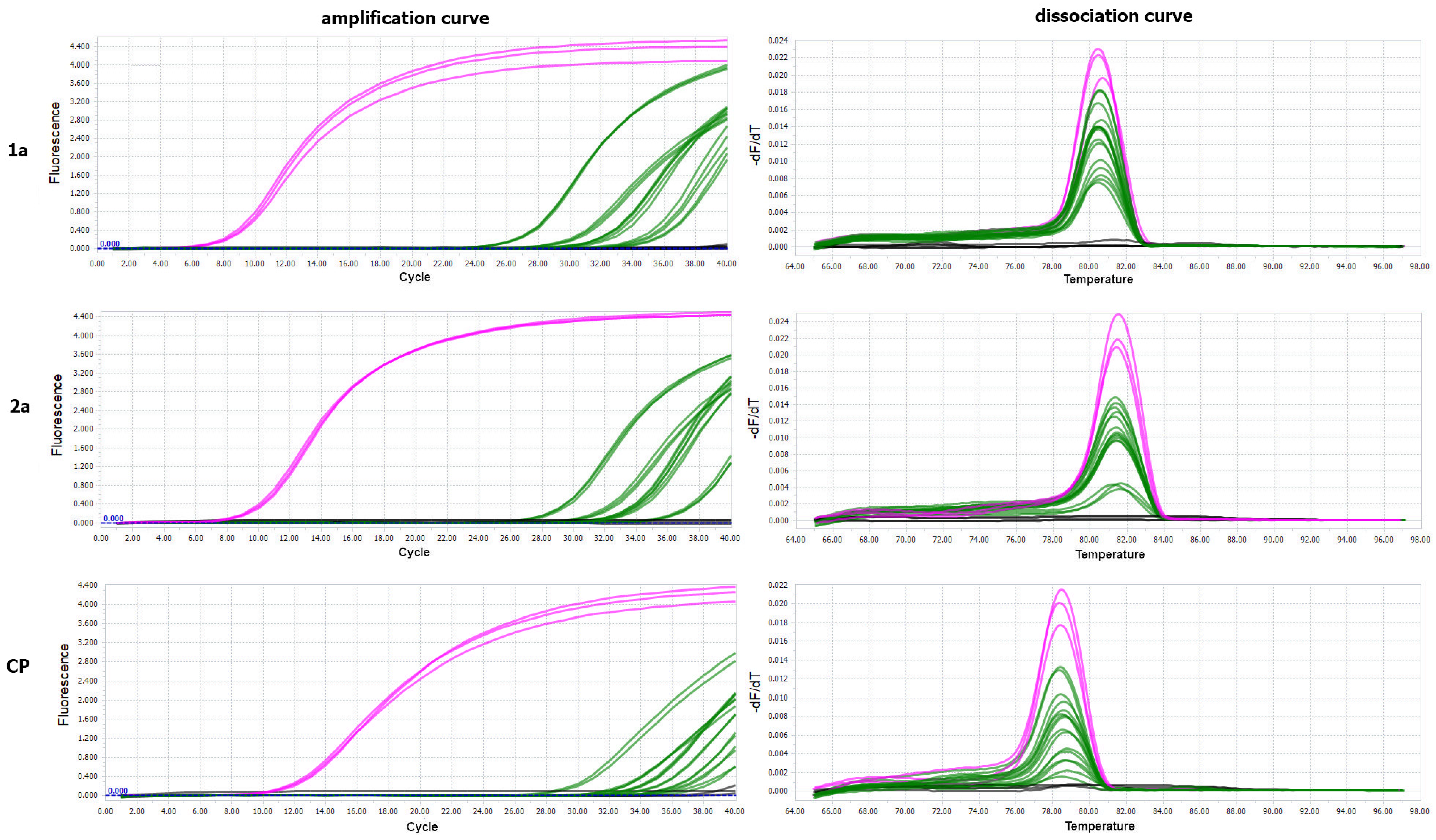 Cells 10 01546 g005 Cells 10 01546 g005