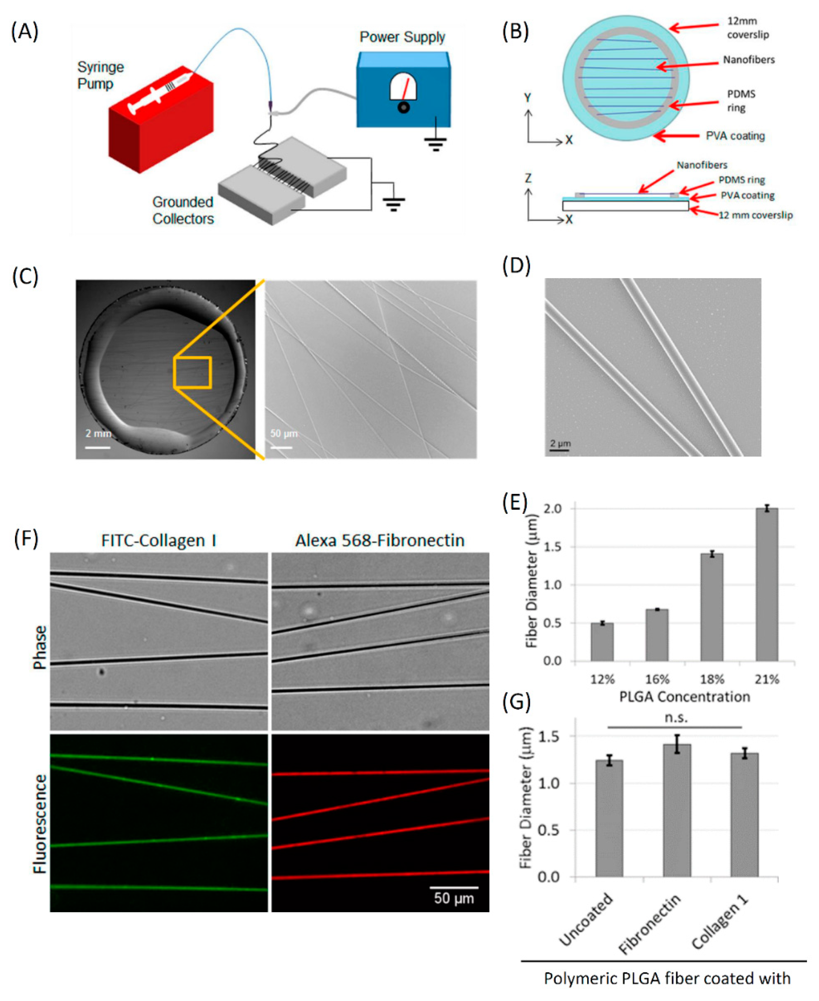 Cells 10 01549 g002 Cells 10 01549 g002