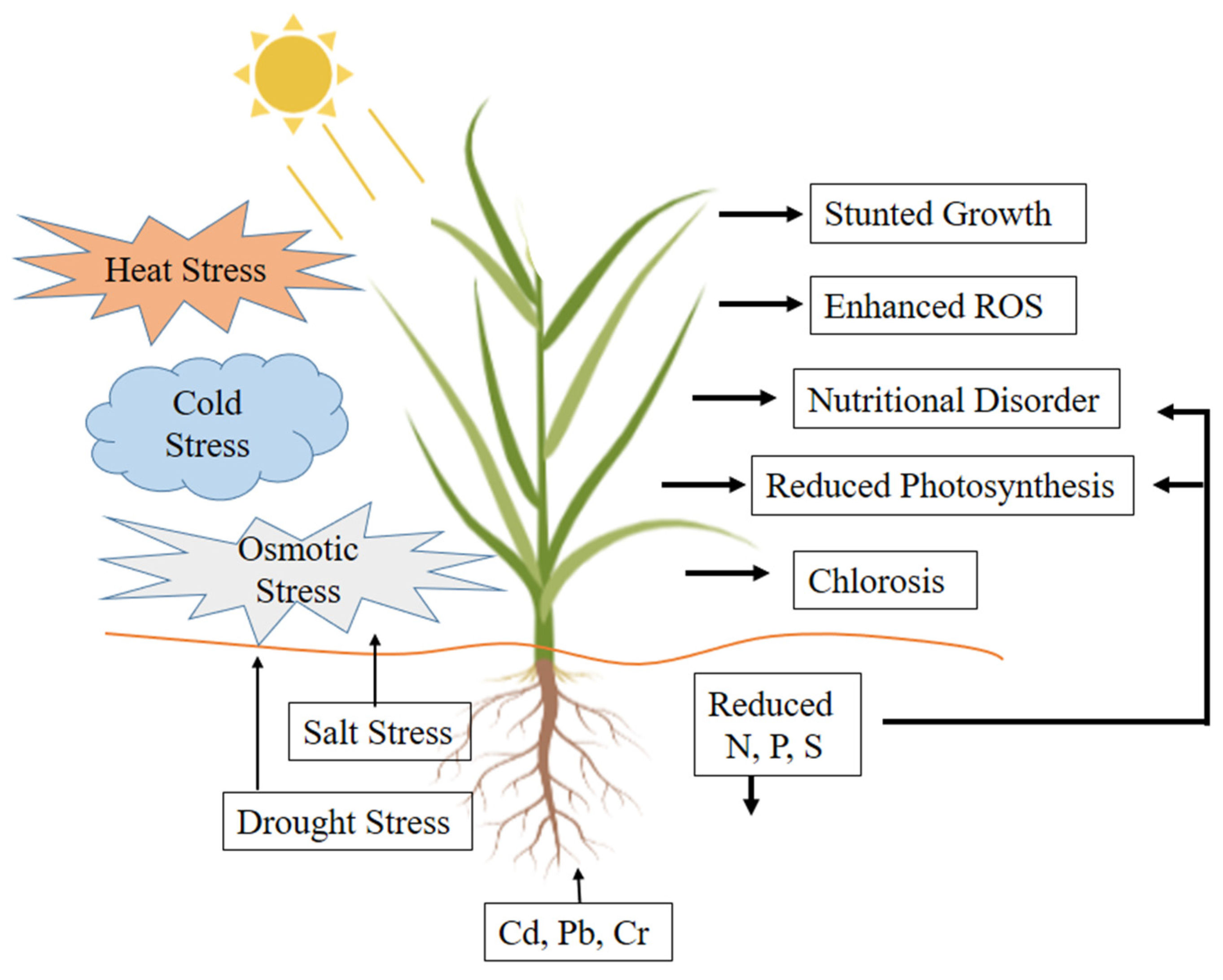 Cells 10 01551 g001 Cells 10 01551 g001