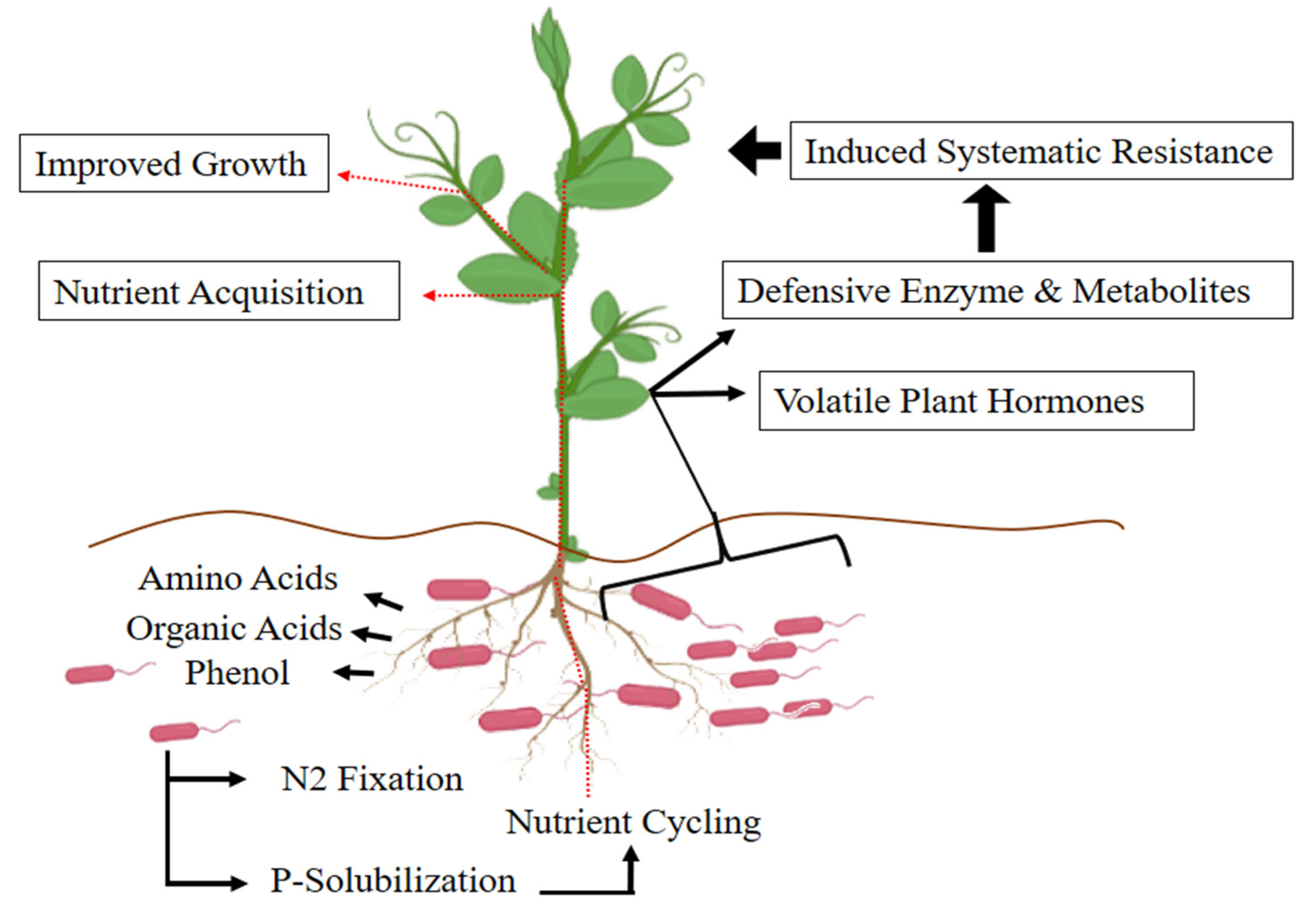 Cells 10 01551 g002 Cells 10 01551 g002