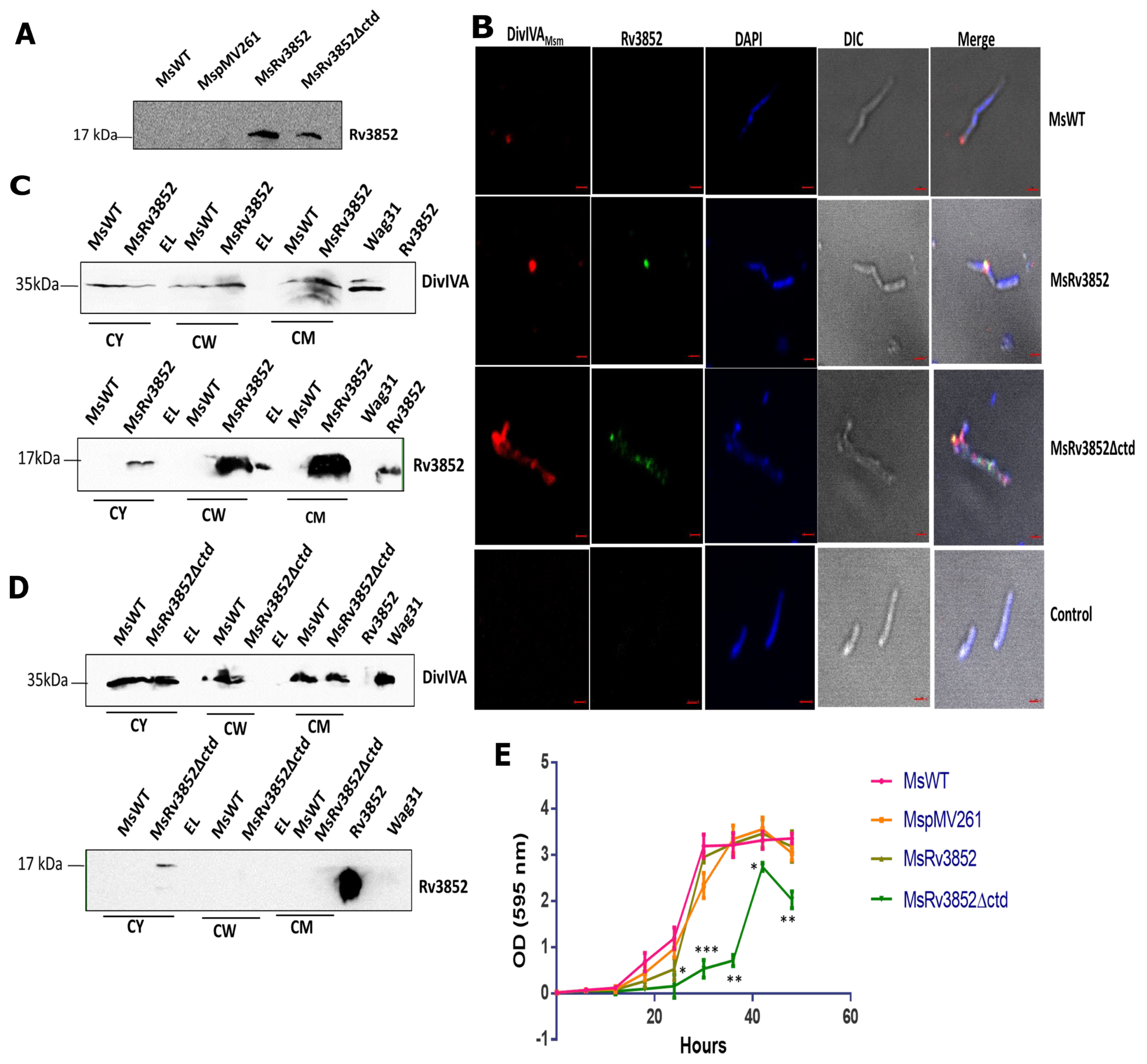 Cells 10 01558 g006 550