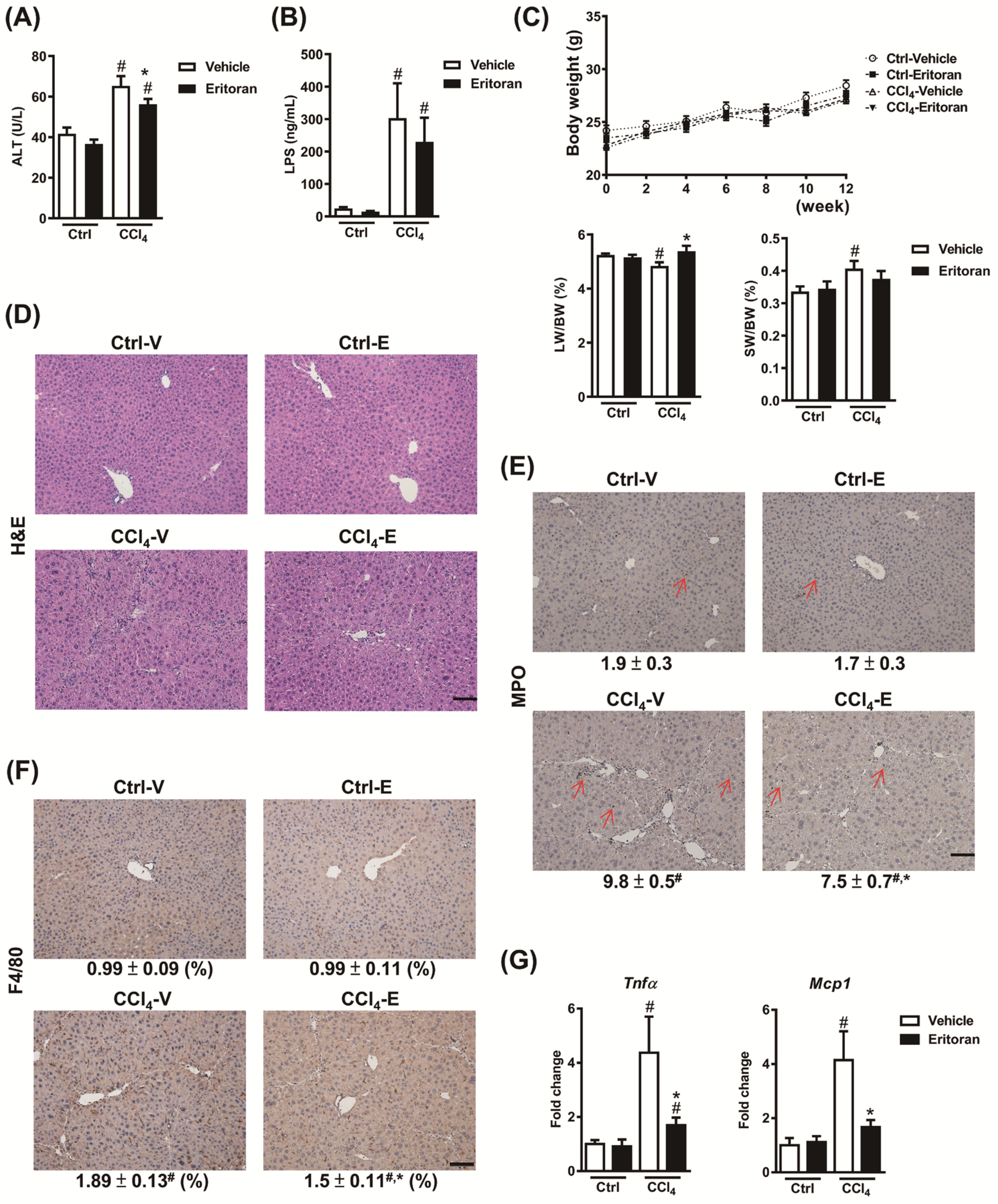 Cells 10 01562 g006 550