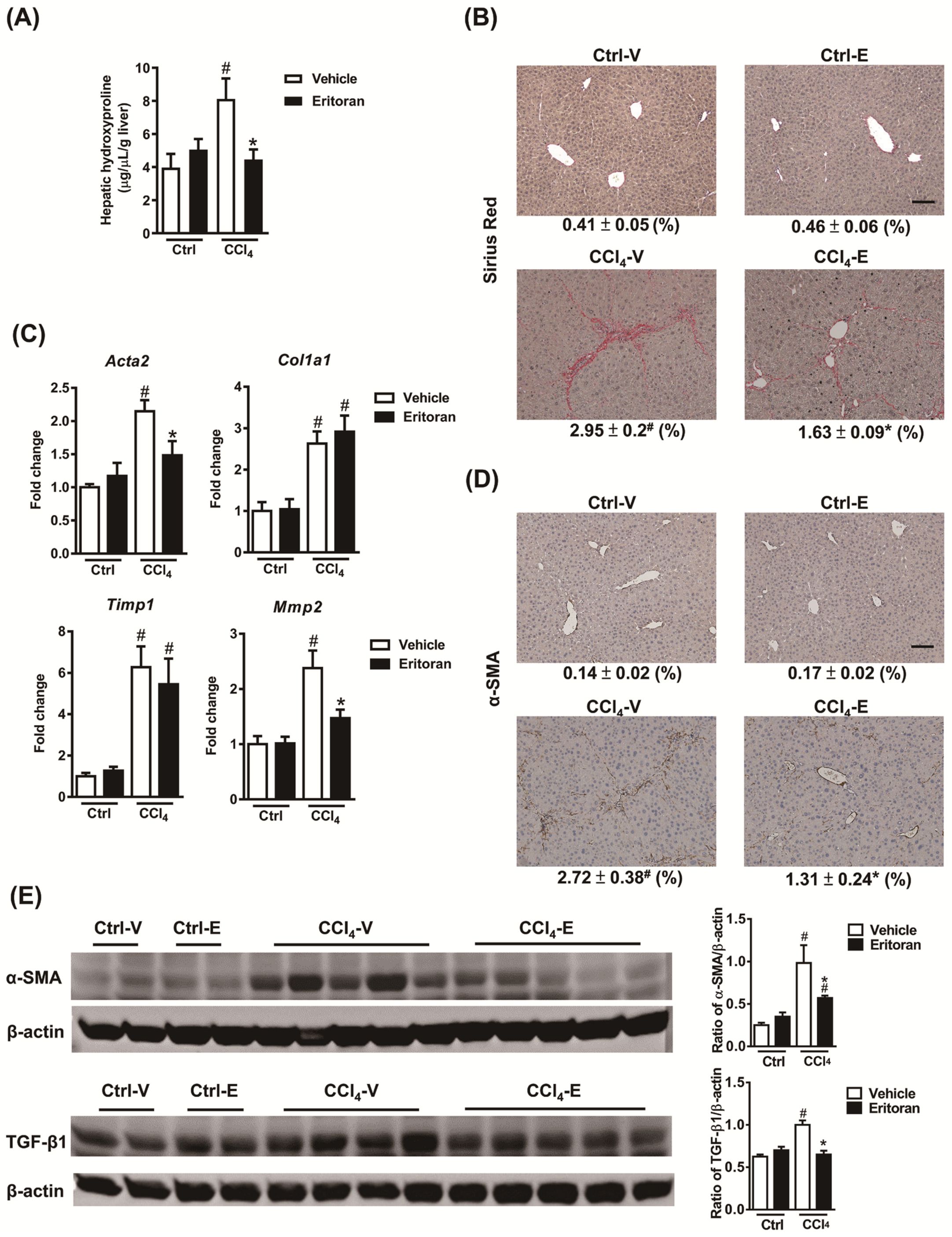 Cells 10 01562 g007 550