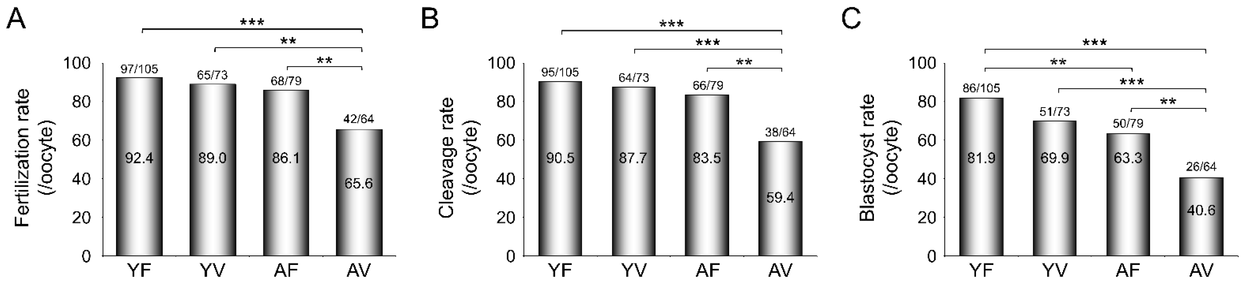 Cells 10 01563 g005 Cells 10 01563 g005