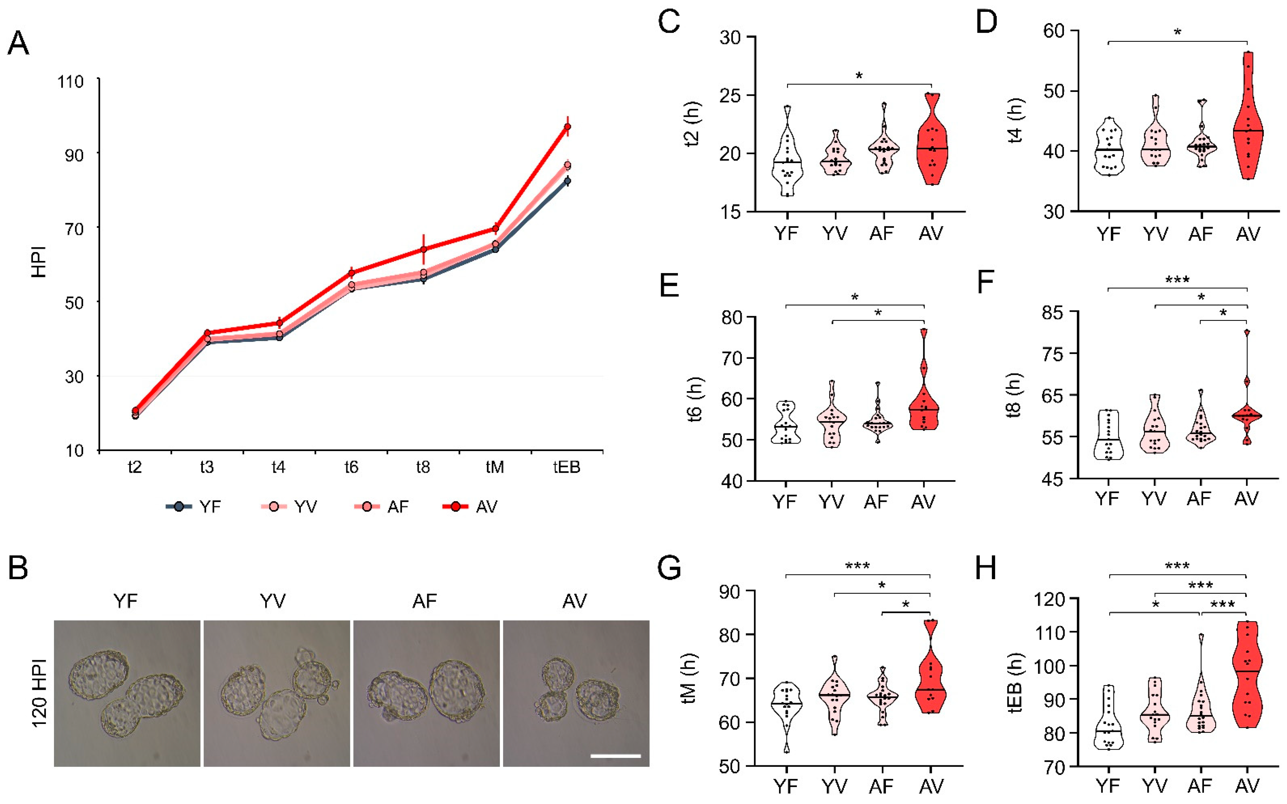 Cells 10 01563 g006 Cells 10 01563 g006