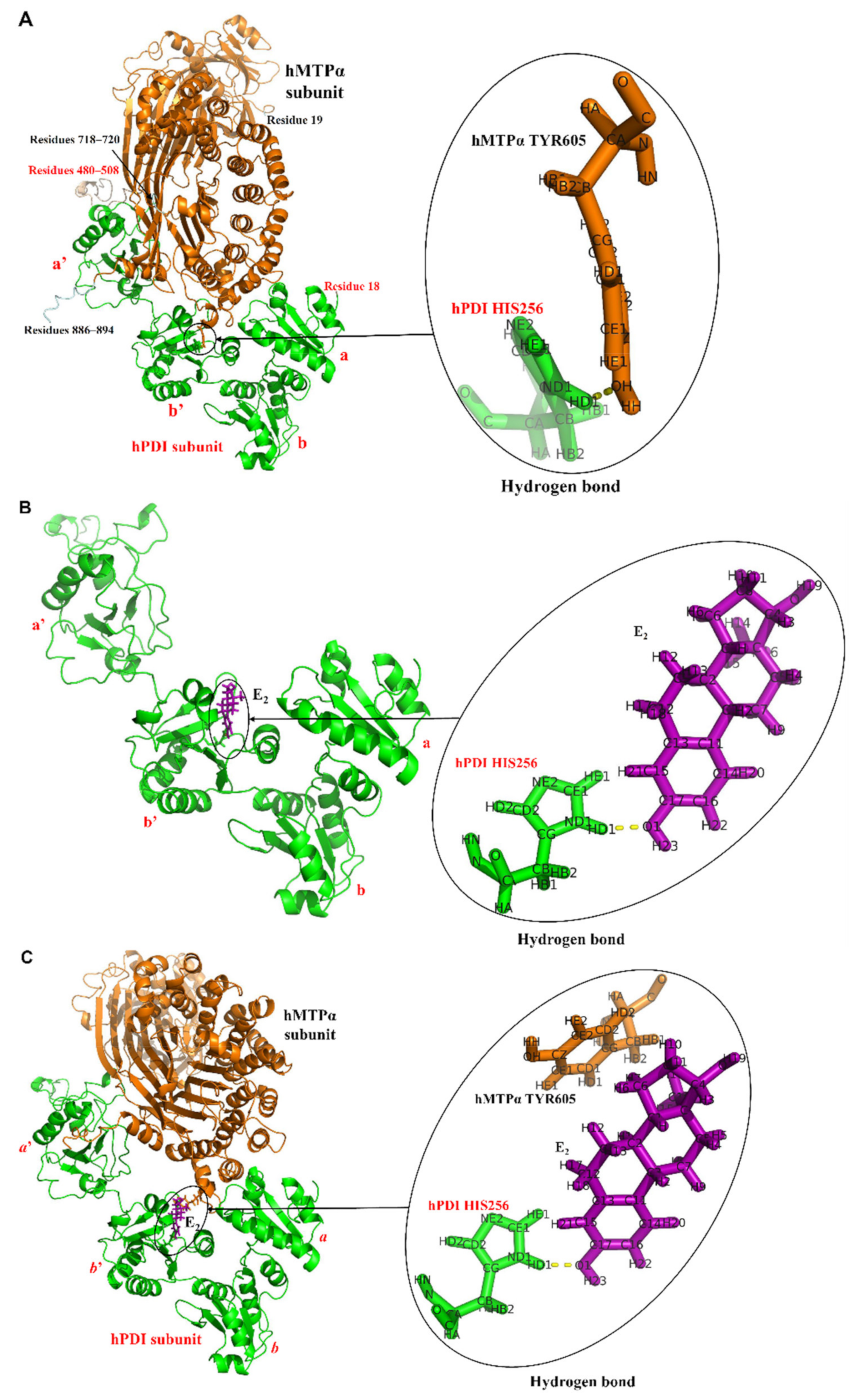Cells 10 01566 g001 Cells 10 01566 g001