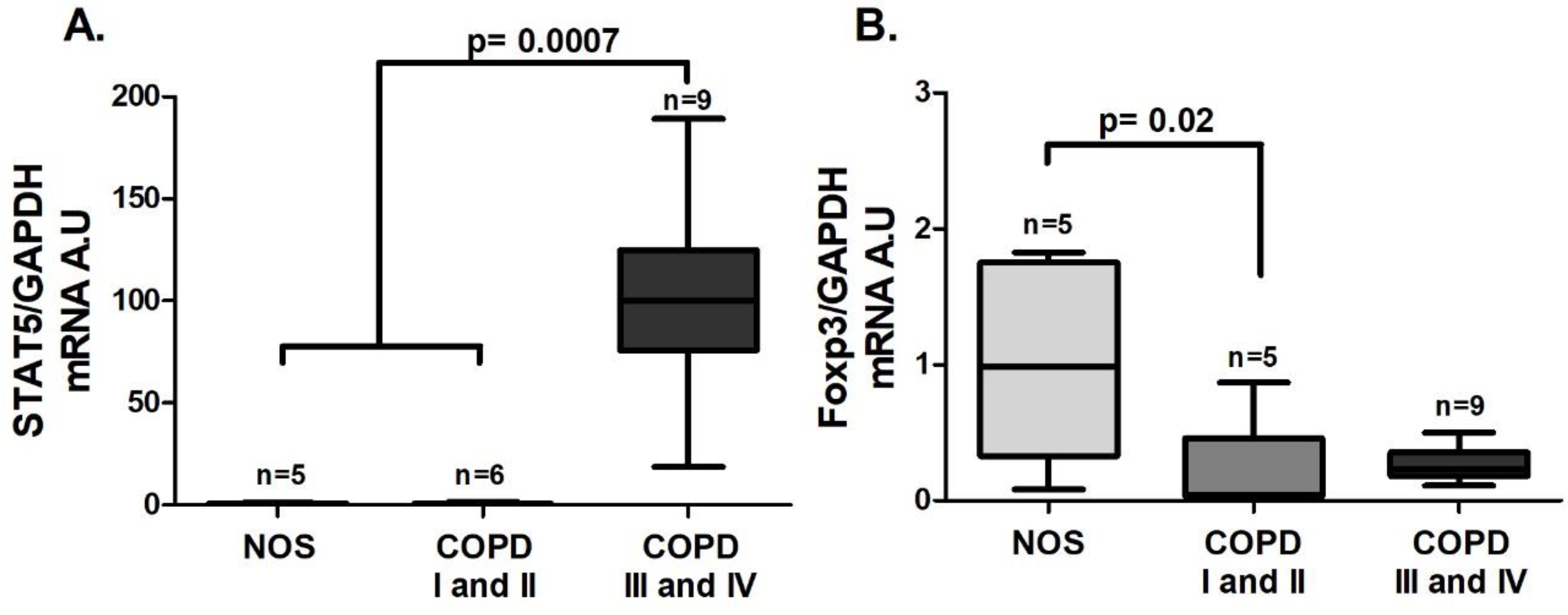 Cells 10 01569 g007 550