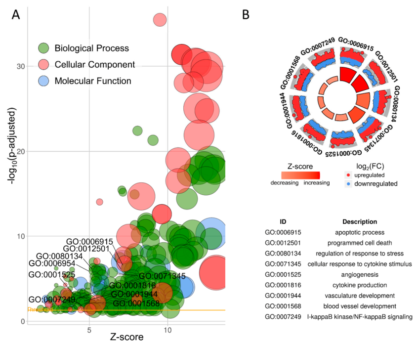 Cells 10 01576 g003 Cells 10 01576 g003