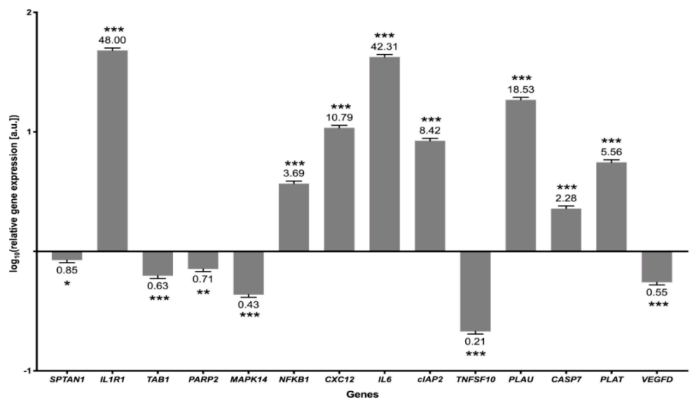 Cells 10 01576 g006 Cells 10 01576 g006