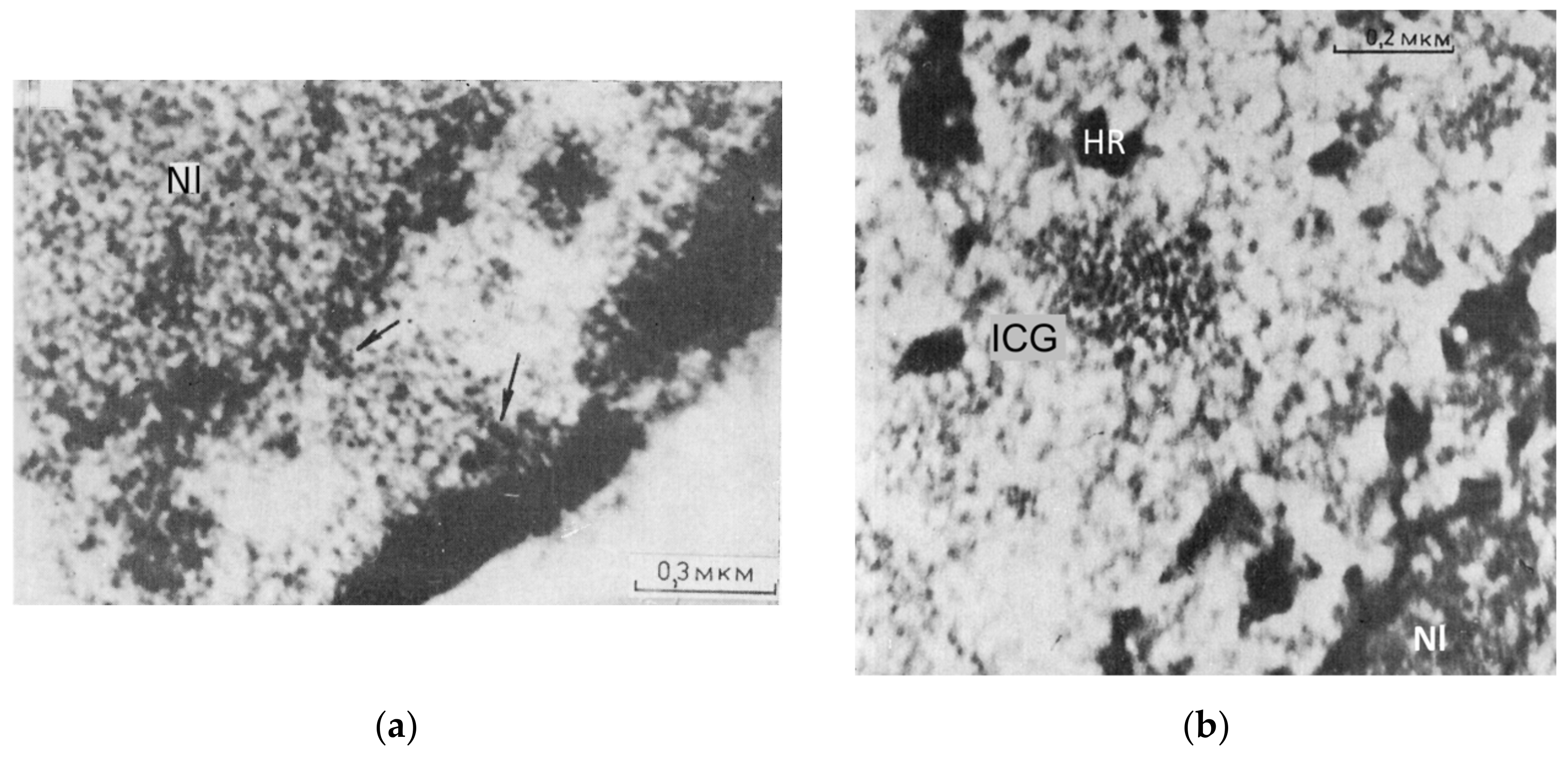 Cells 10 01582 g008a