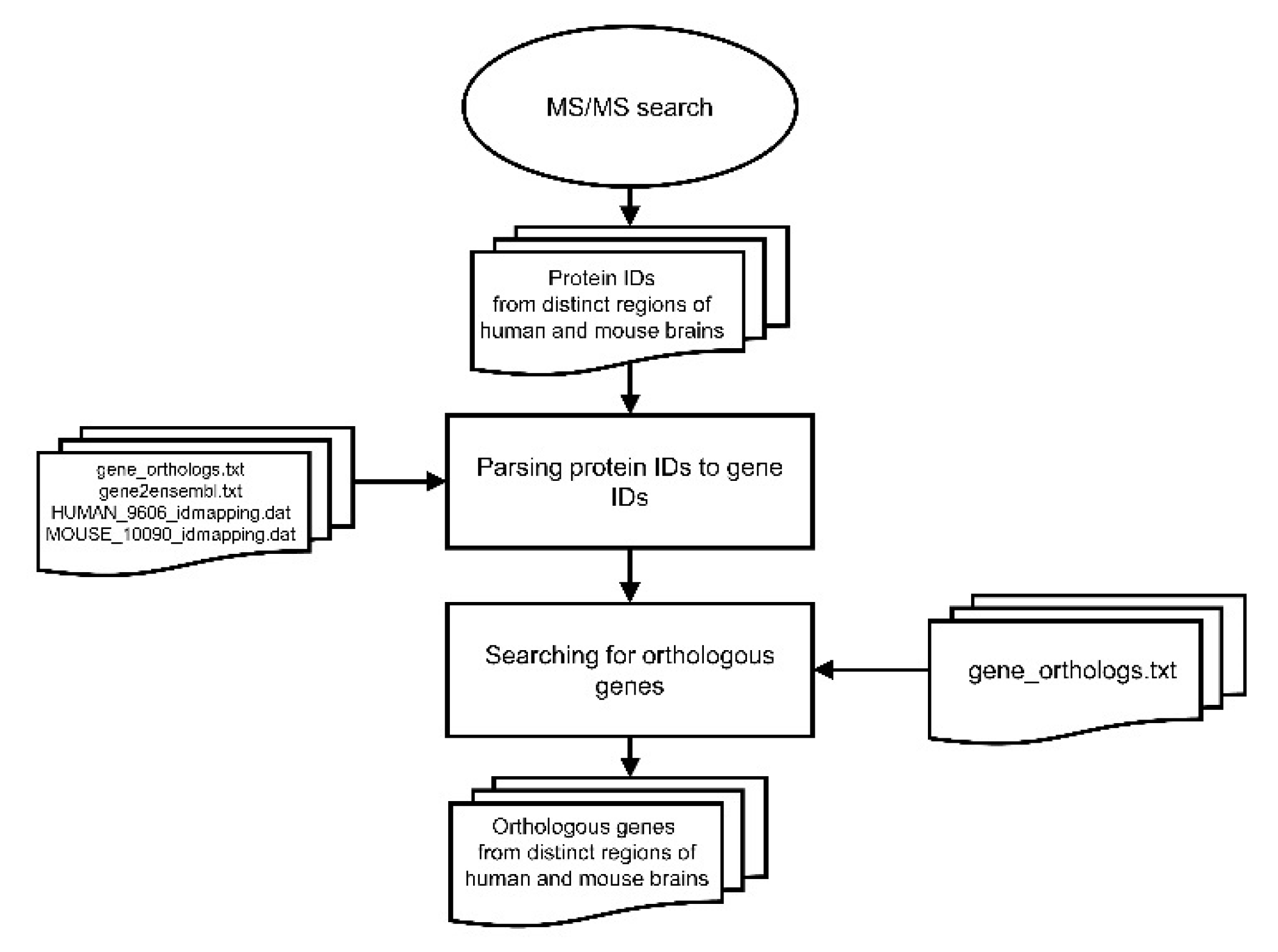 Cells 10 01583 g001 Cells 10 01583 g001
