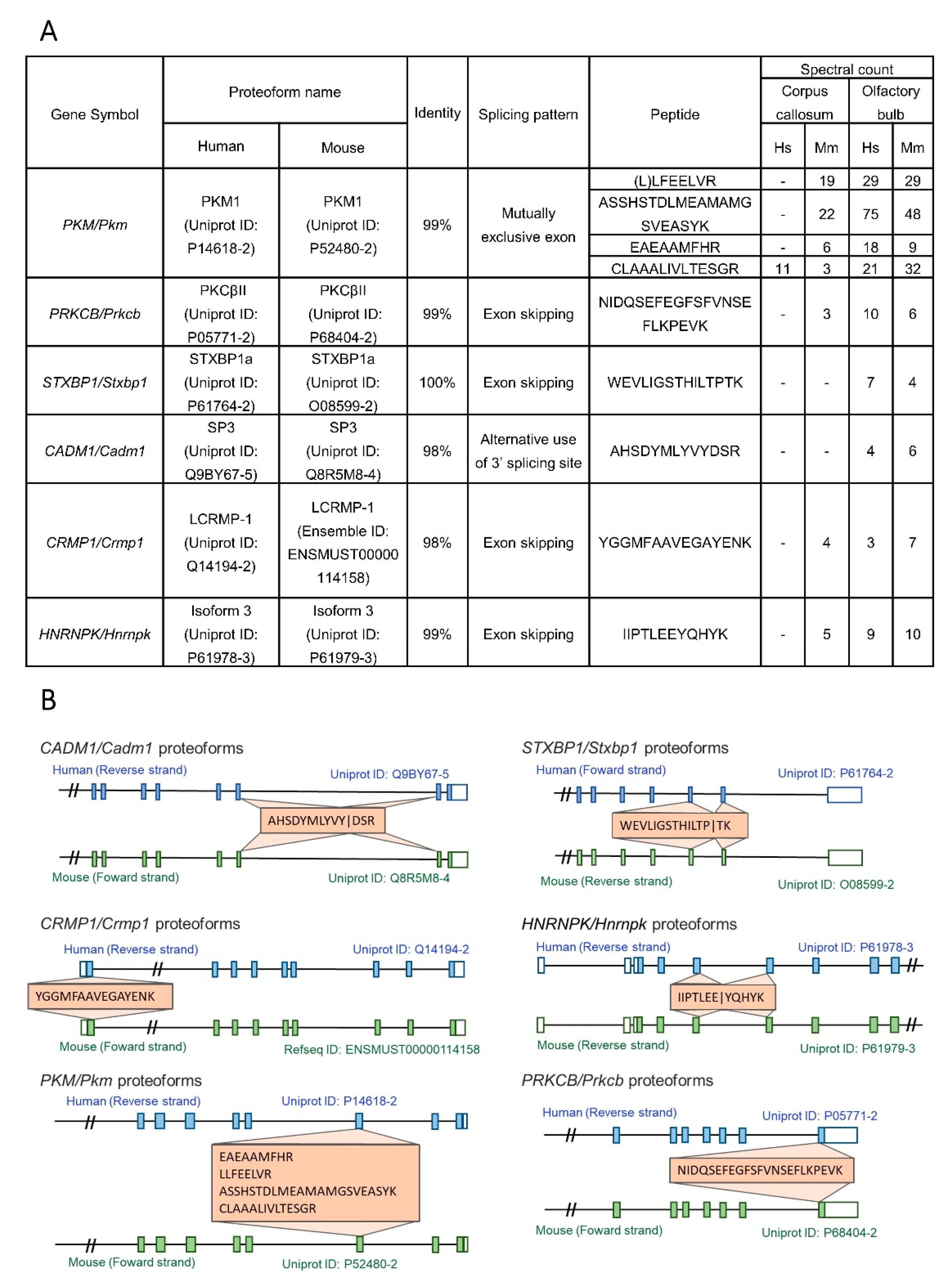Cells 10 01583 g003 Cells 10 01583 g003