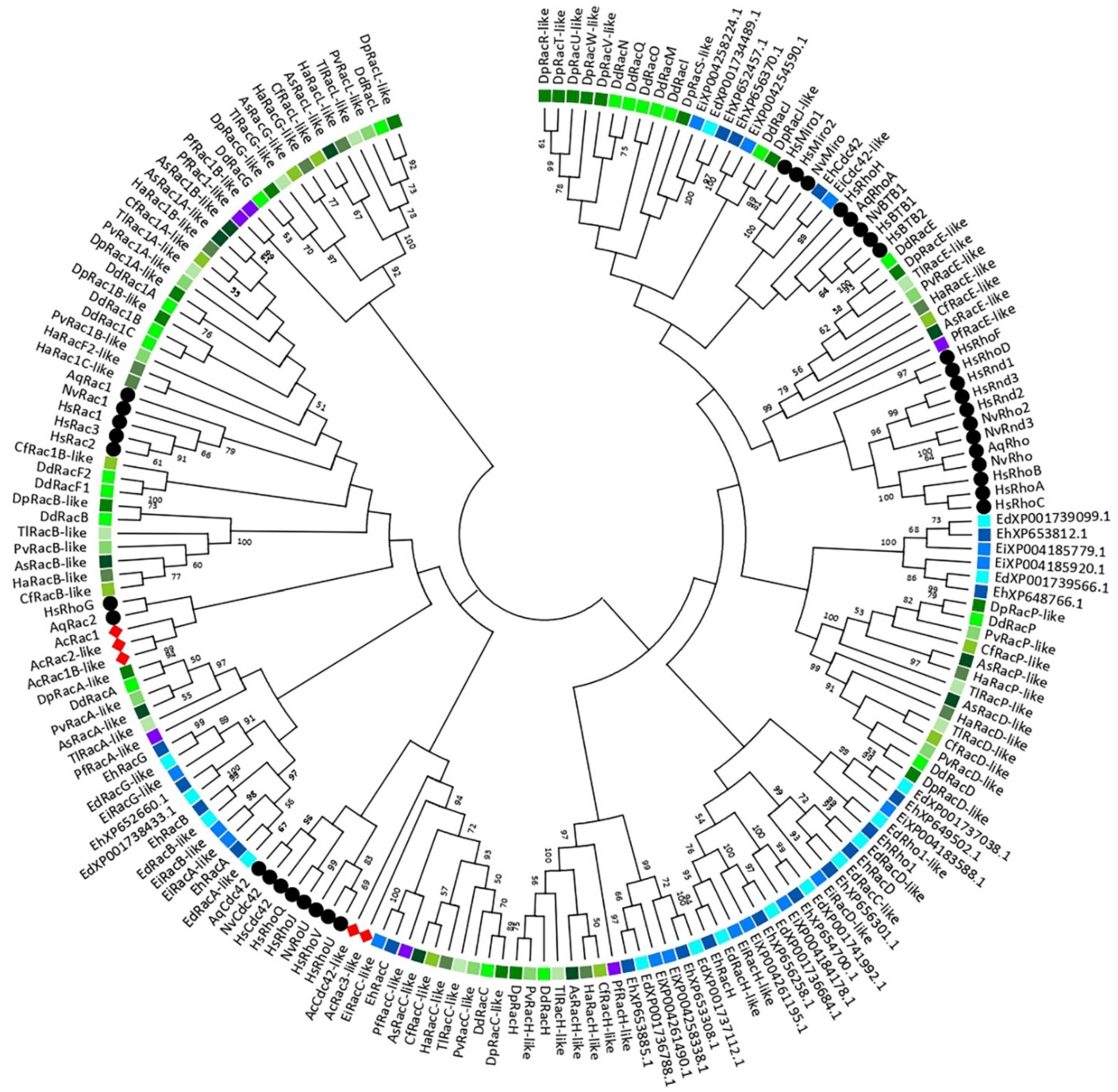 Cells 10 01592 g001 Cells 10 01592 g001
