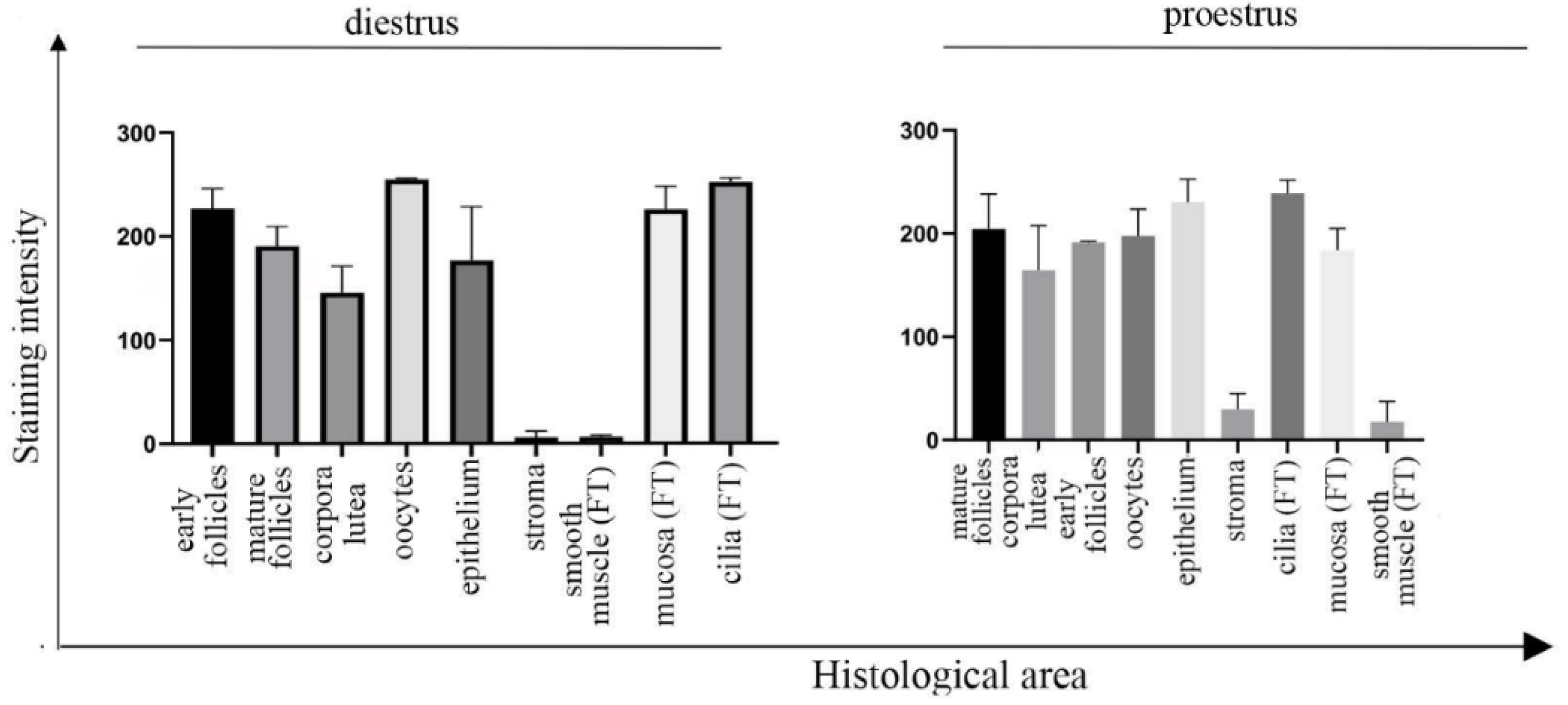 Cells 10 01604 g002 Cells 10 01604 g002