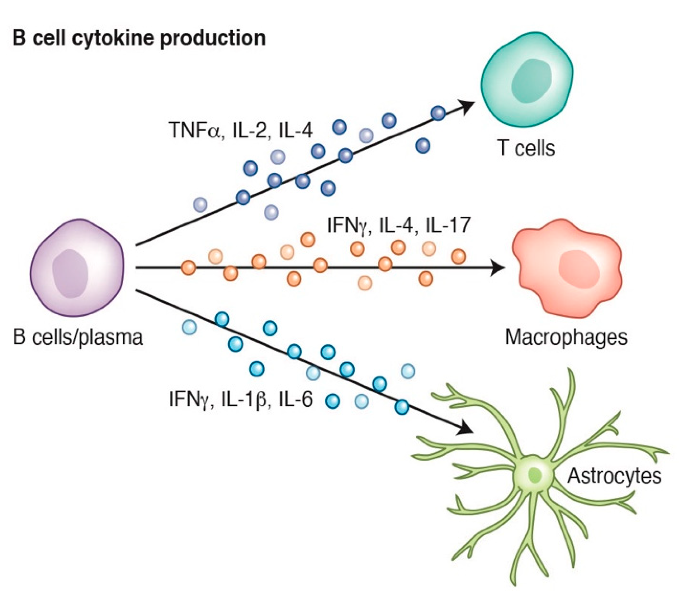 Use of B-Cell–Depleting Therapy in Women of Childbearing Potential