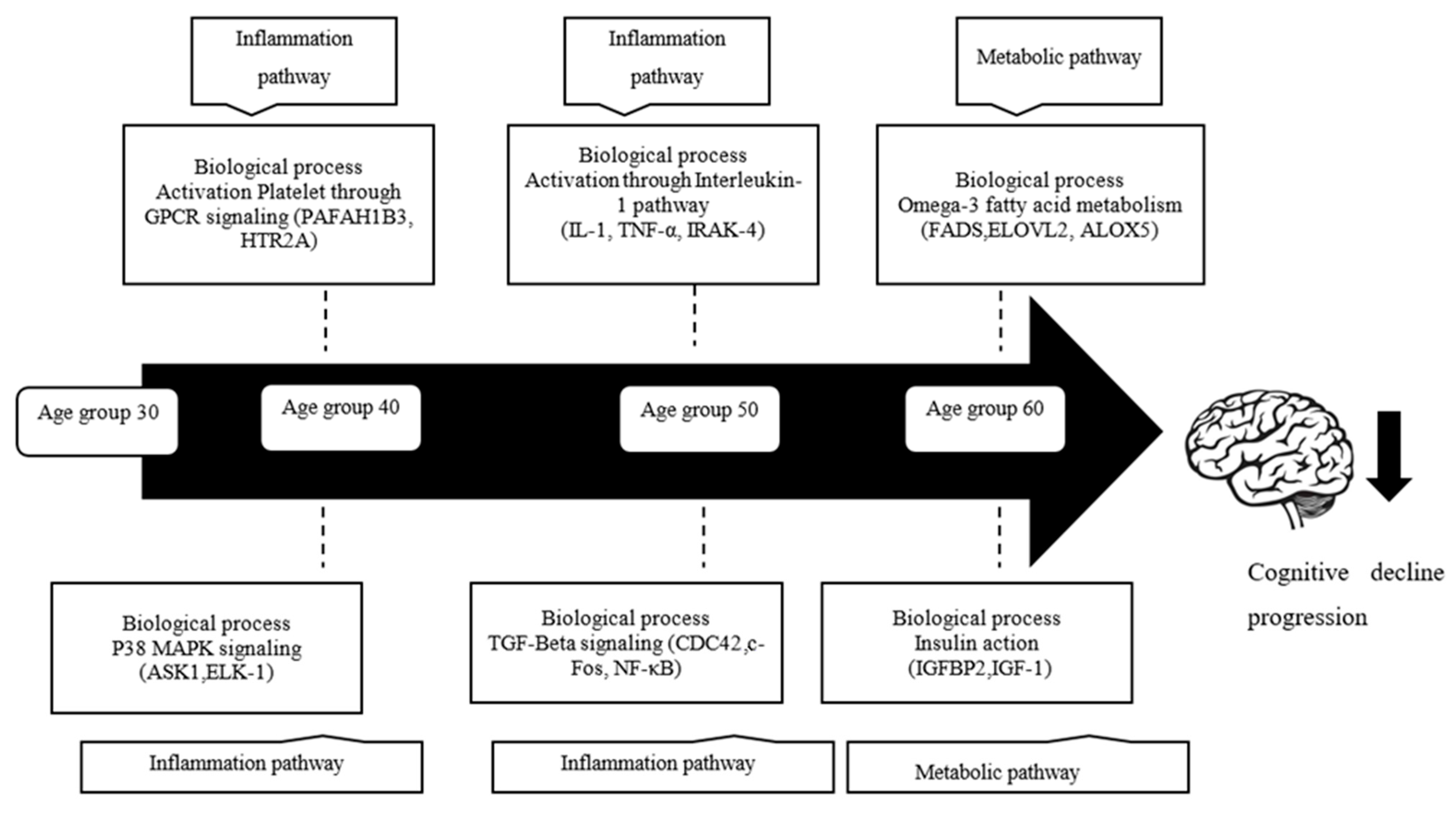 Cells  Free Full-Text  Gene Expression Profile in Different Age 
