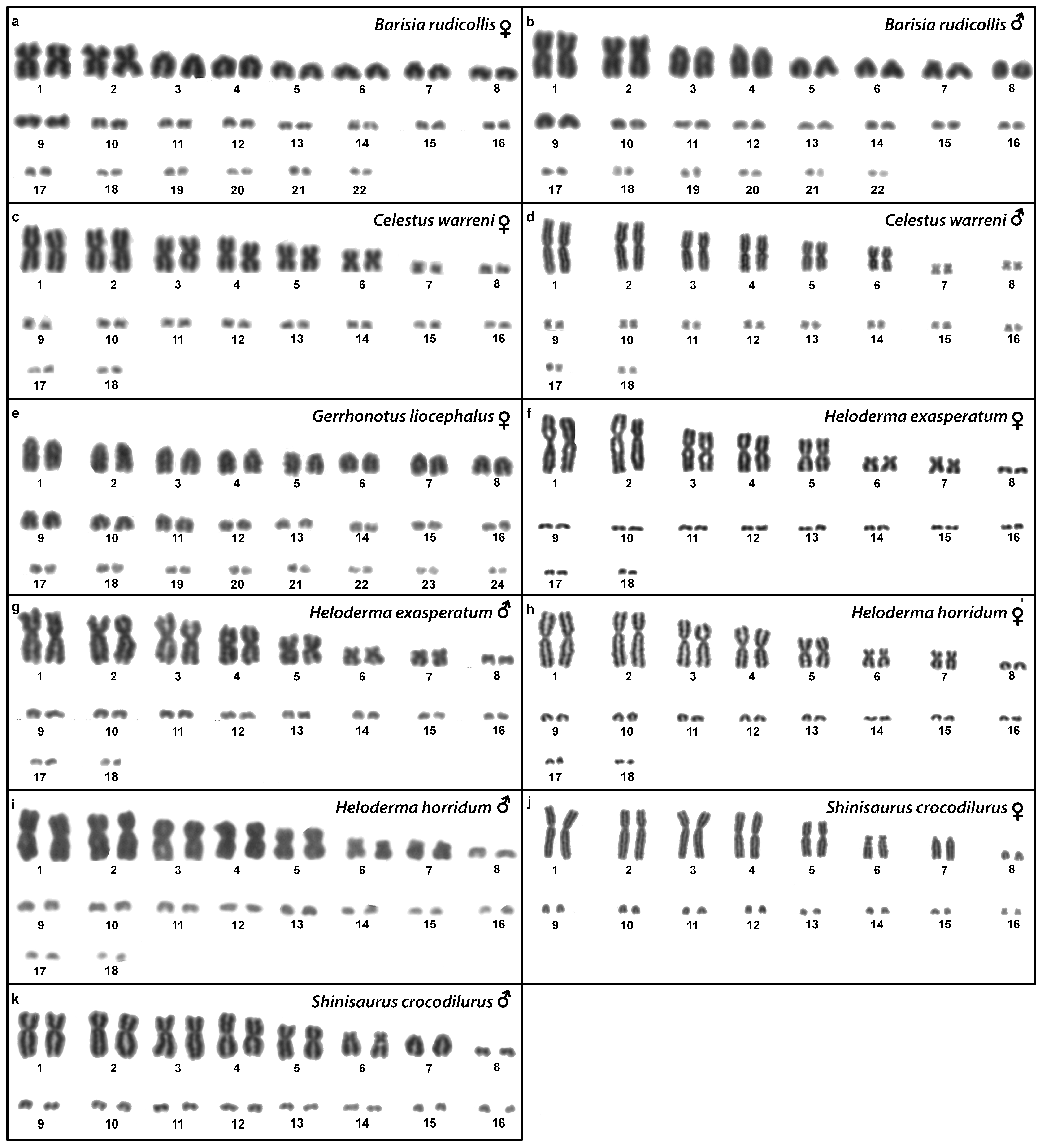 Cells 10 01612 g002 Cells 10 01612 g002