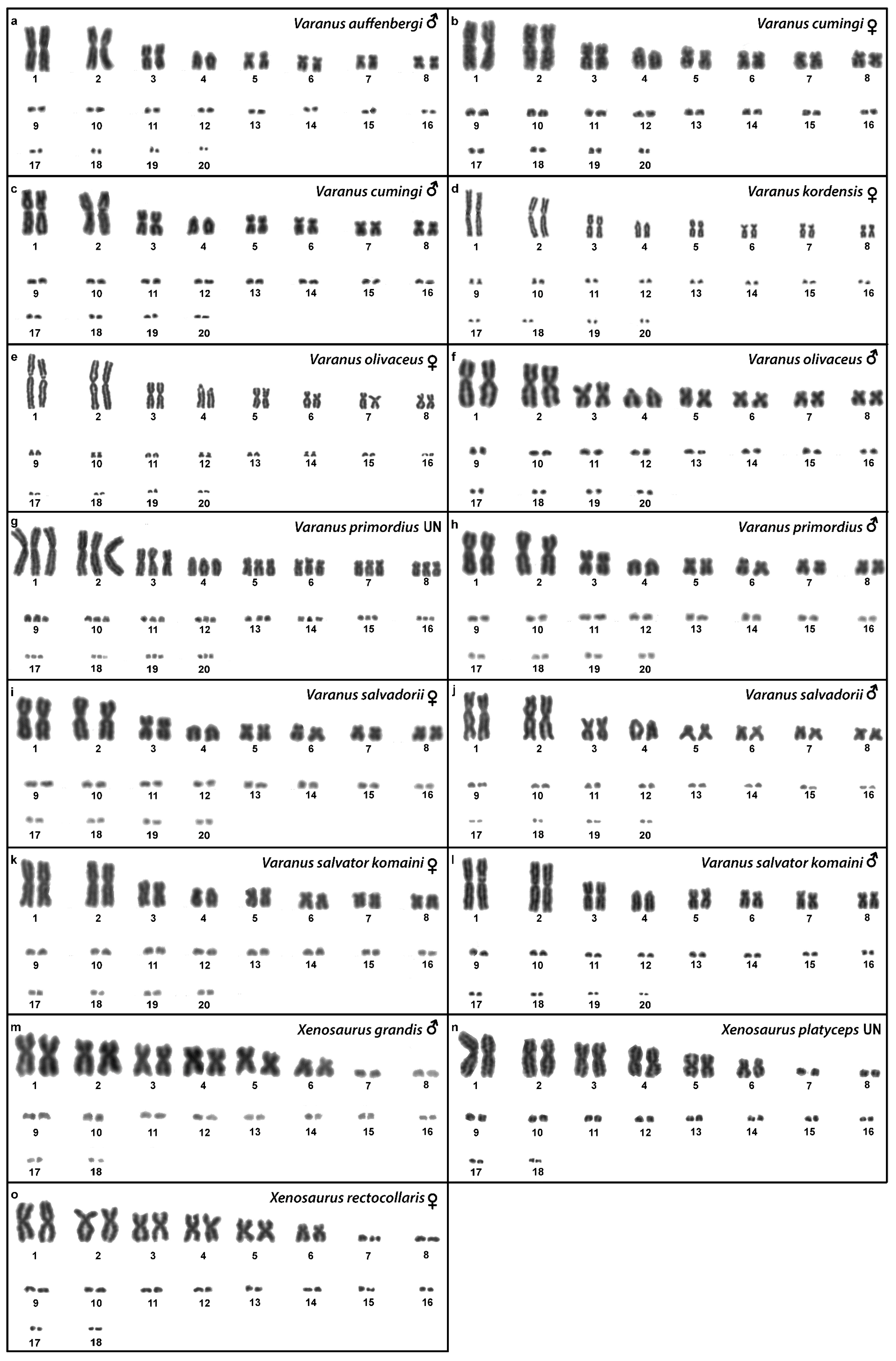 Cells 10 01612 g003 Cells 10 01612 g003