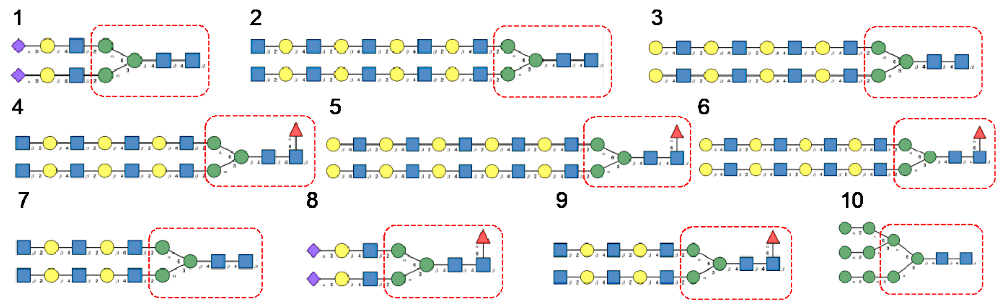 Cells 10 01619 g007 Cells 10 01619 g007