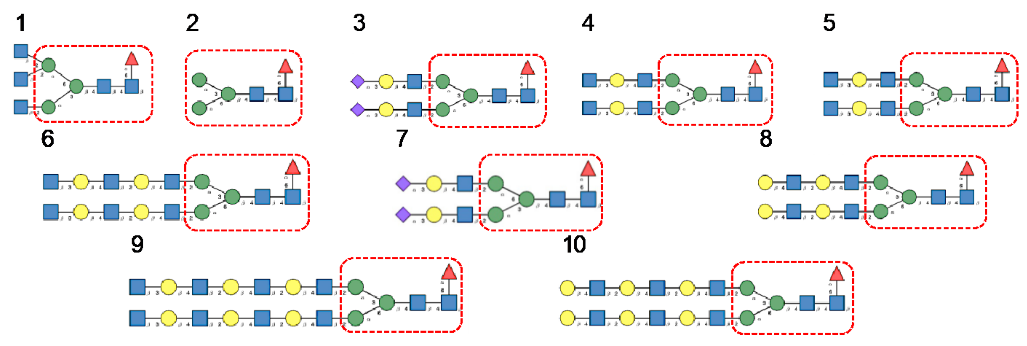 Cells 10 01619 g008 Cells 10 01619 g008